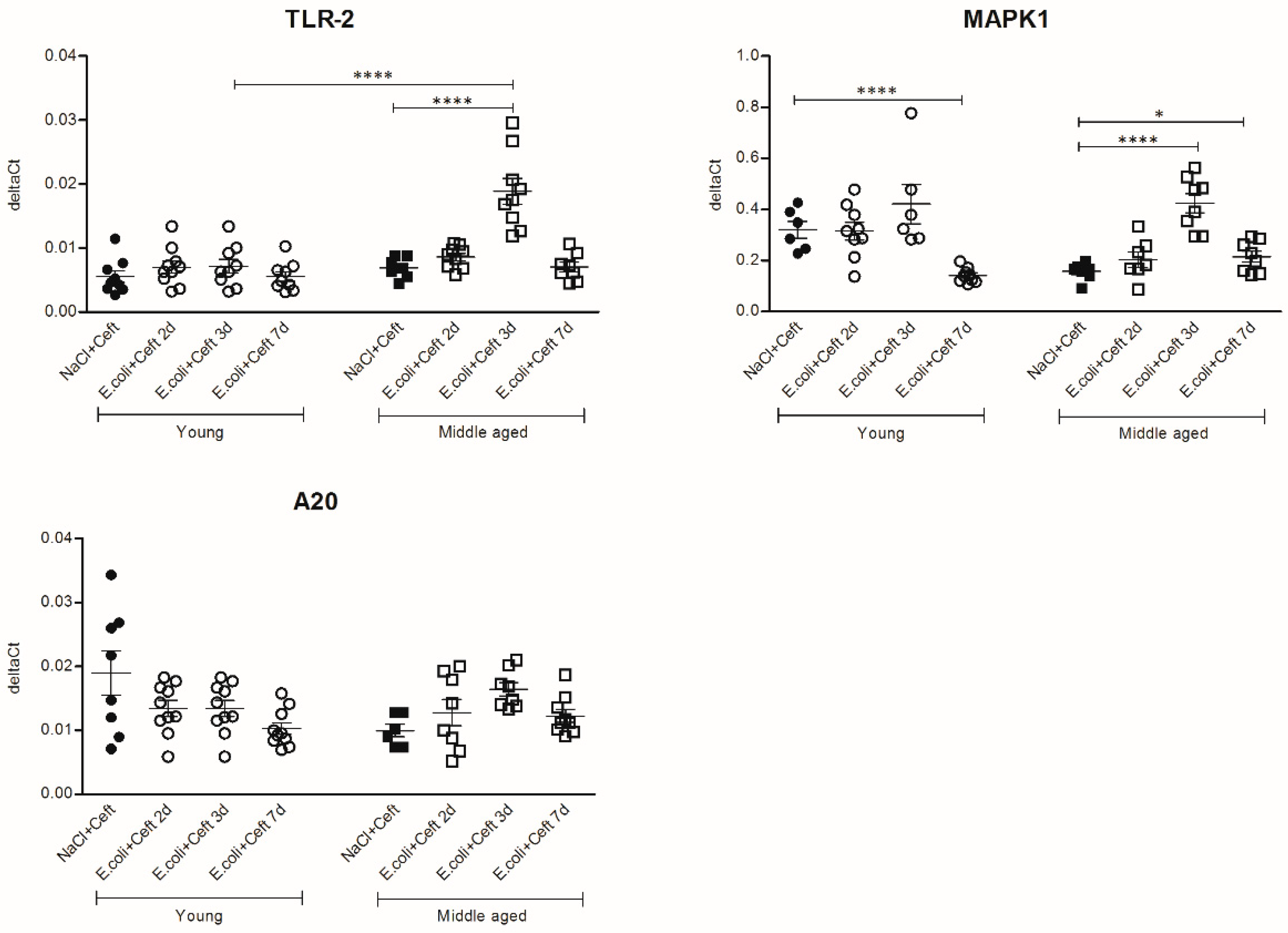 Cells 10 00279 g009 Cells 10 00279 g009
