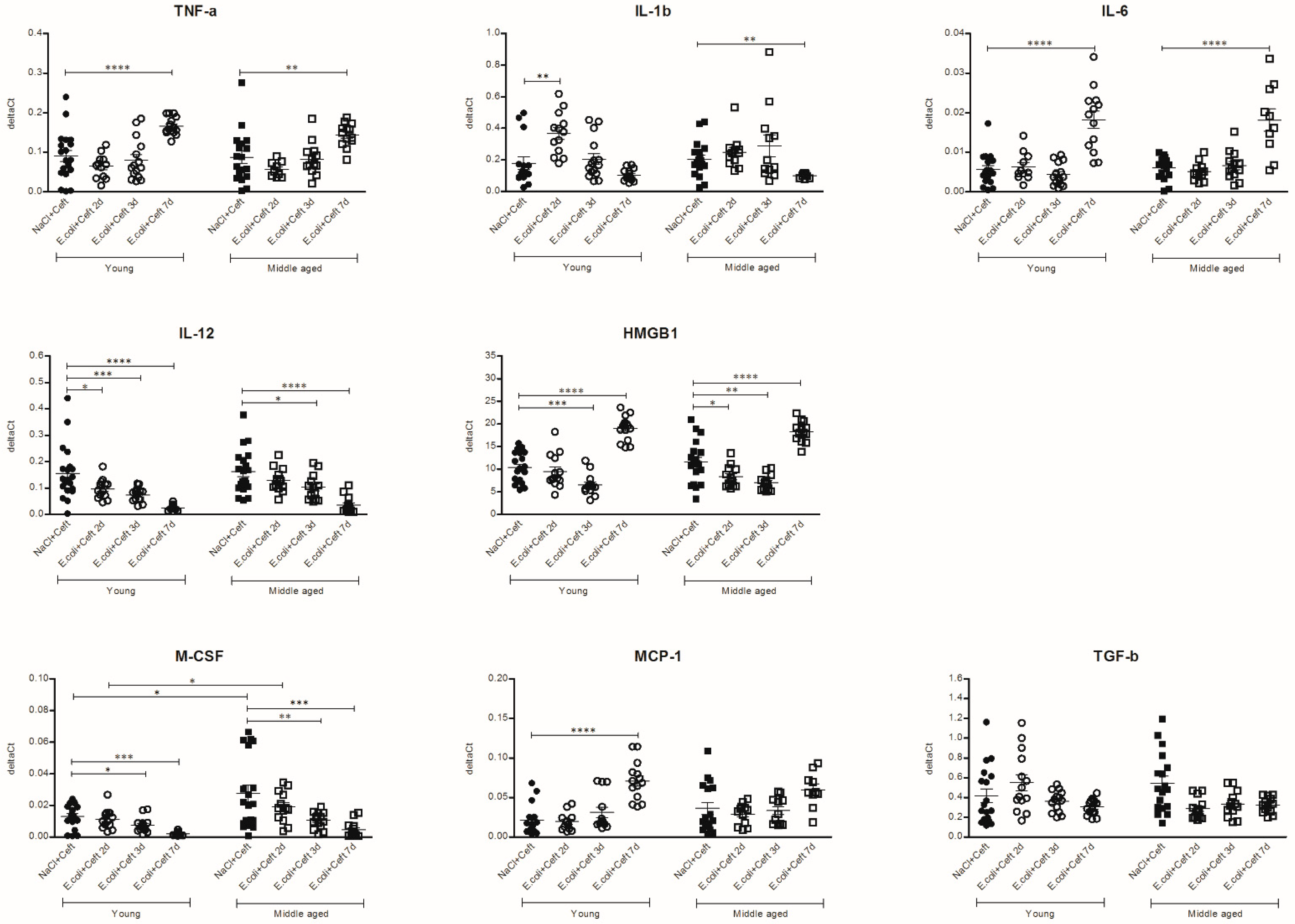Cells 10 00279 g010 Cells 10 00279 g010