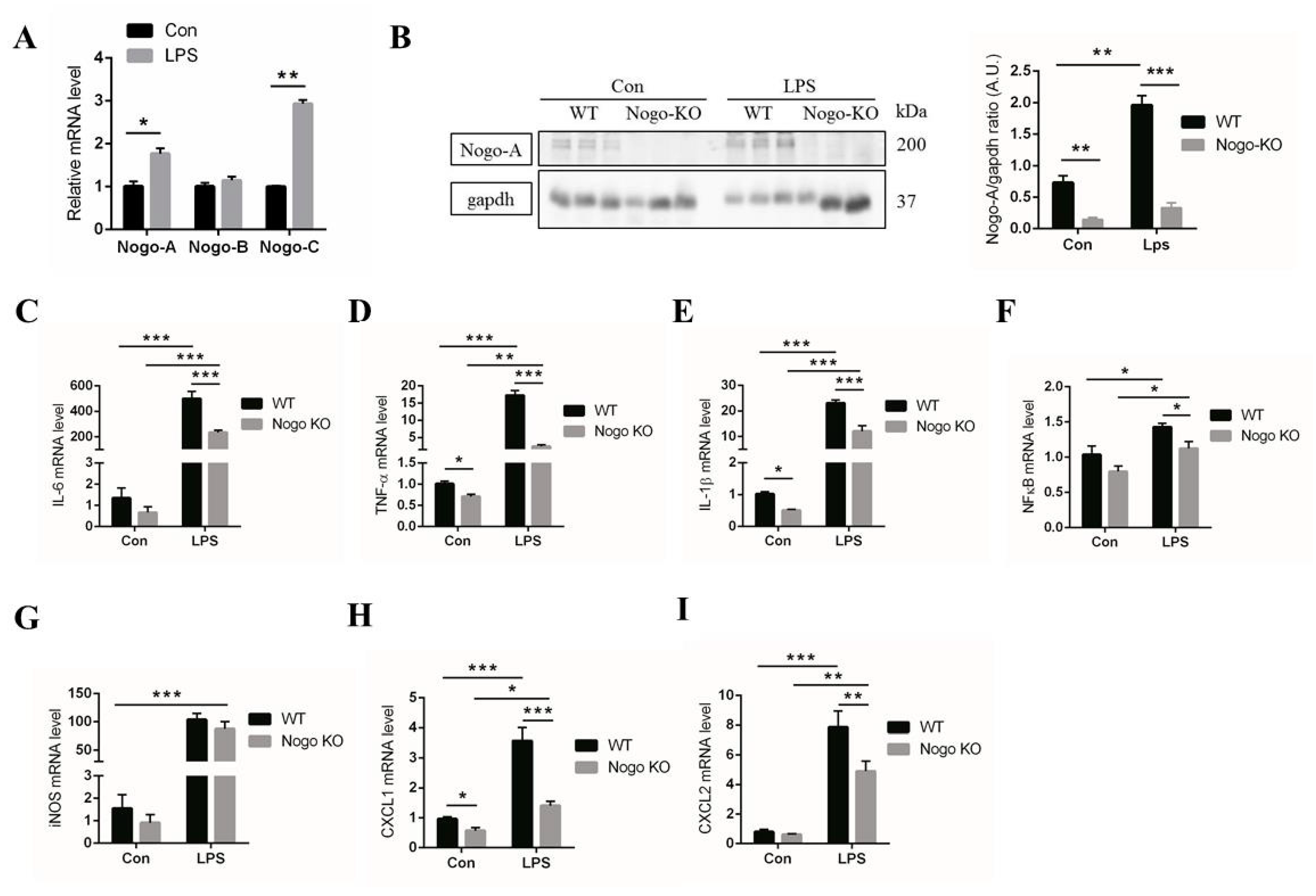 Cells 10 00282 g002 Cells 10 00282 g002