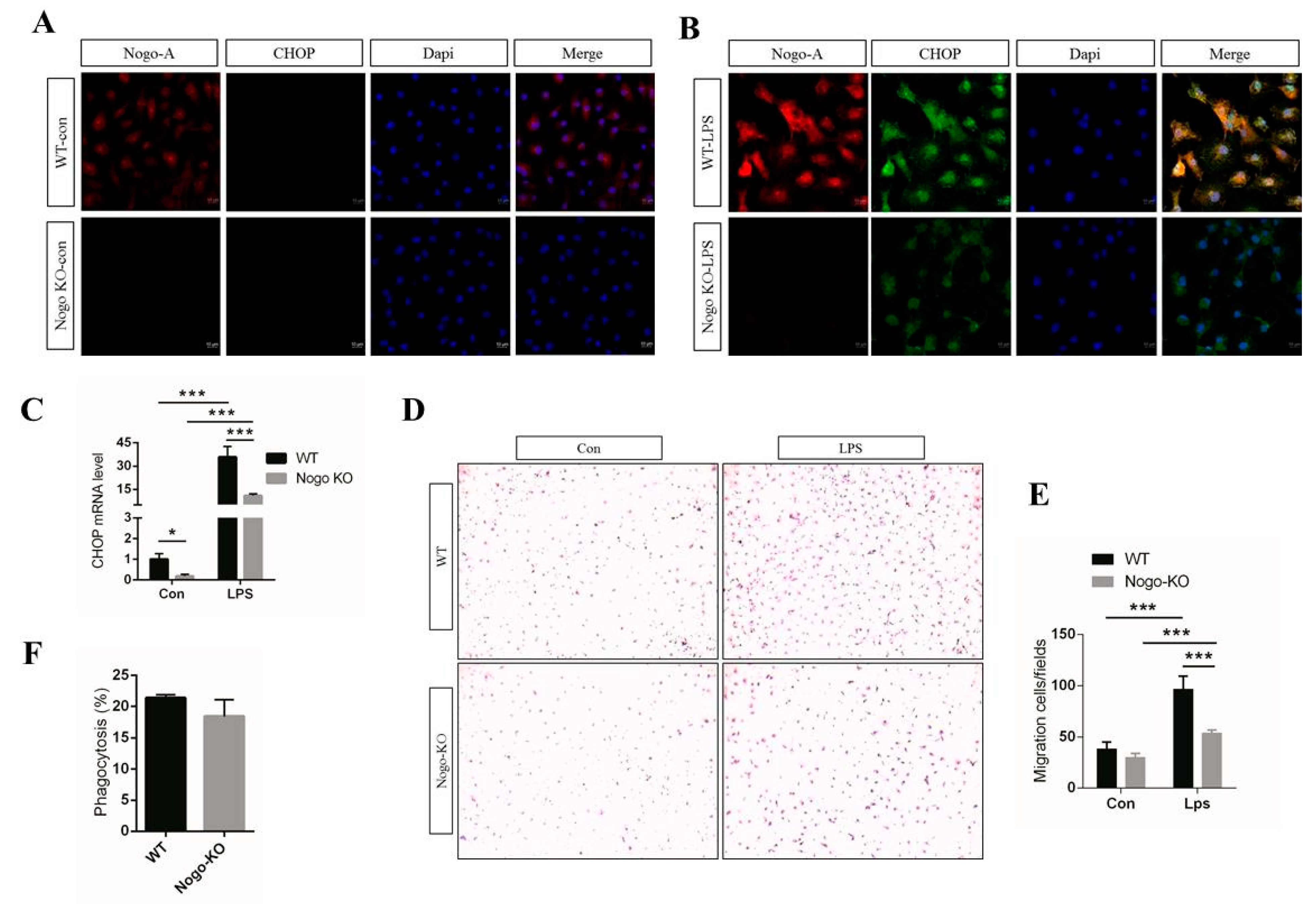 Cells 10 00282 g003 Cells 10 00282 g003