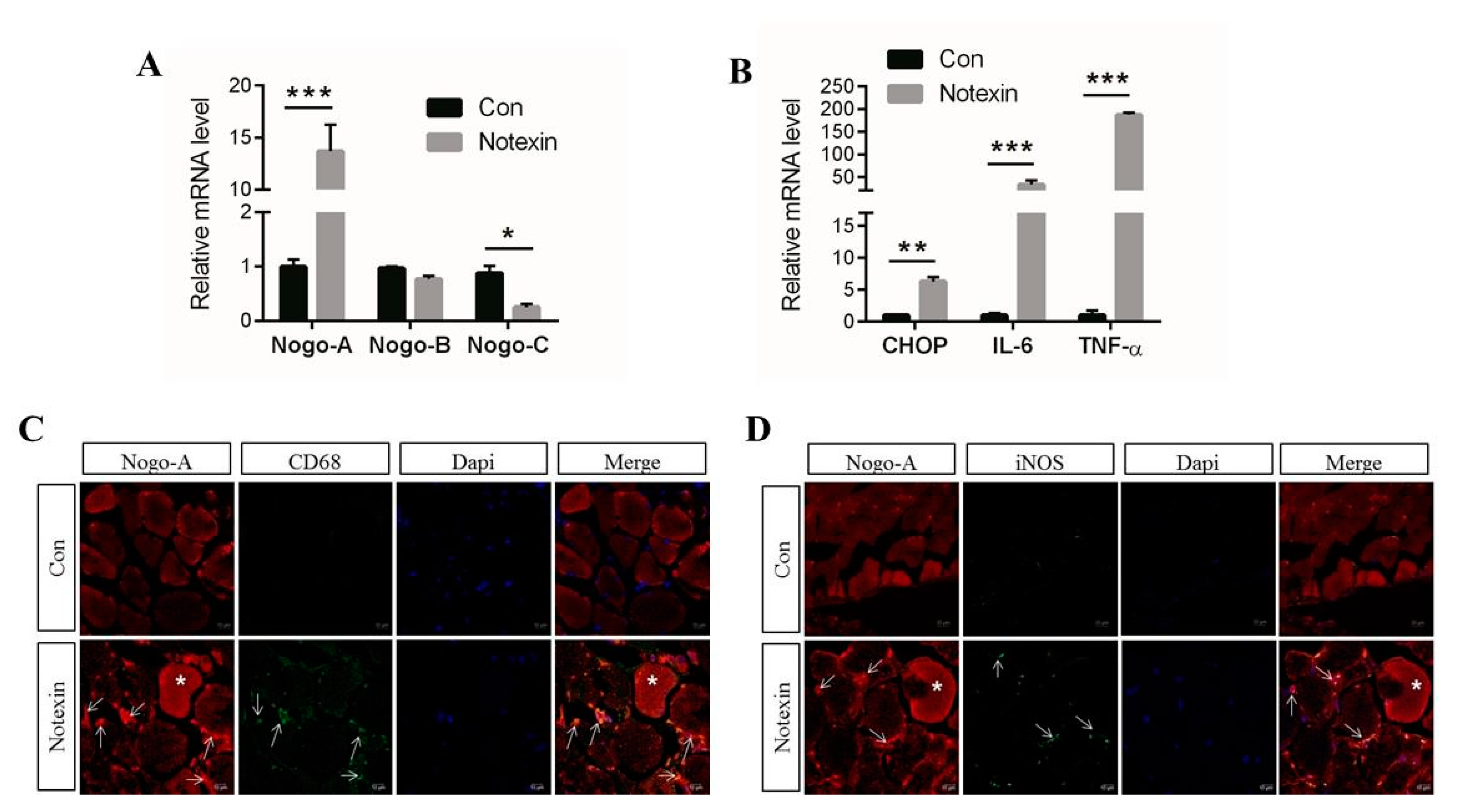 Cells 10 00282 g004 Cells 10 00282 g004