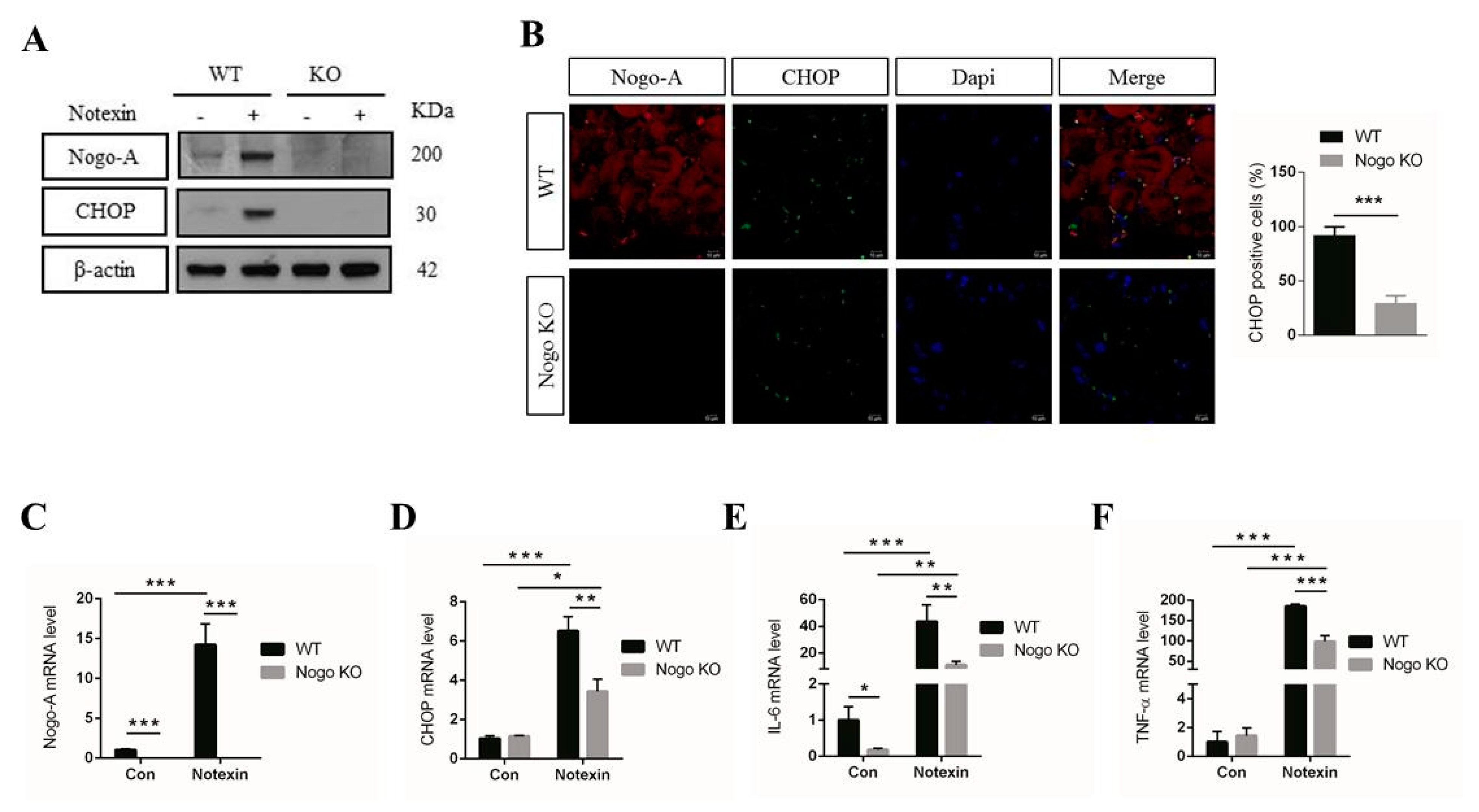 Cells 10 00282 g005 Cells 10 00282 g005