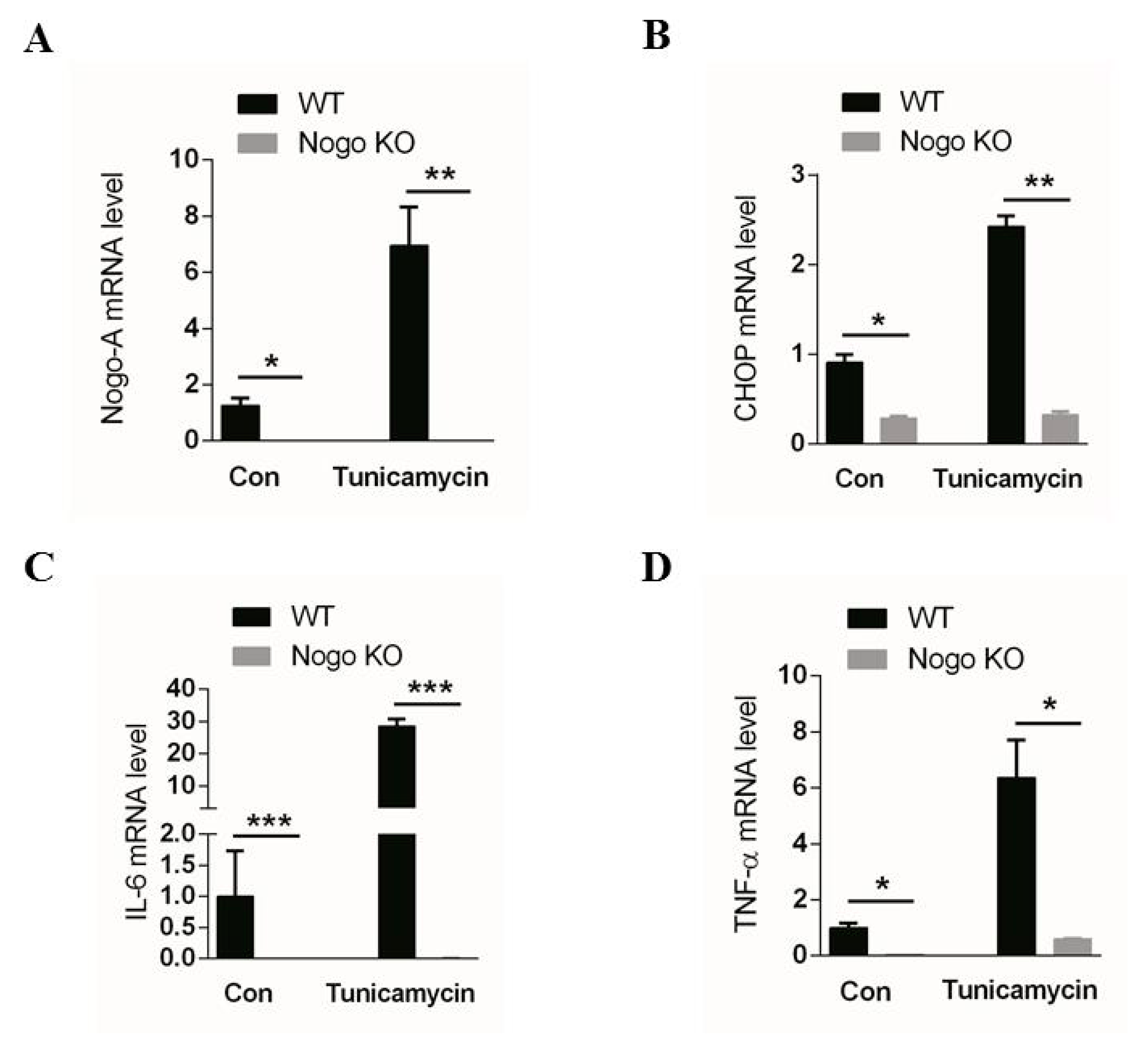 Cells 10 00282 g006 Cells 10 00282 g006