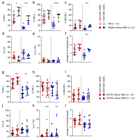 CD8 and CD4 T Cell Populations in Human Kidneys