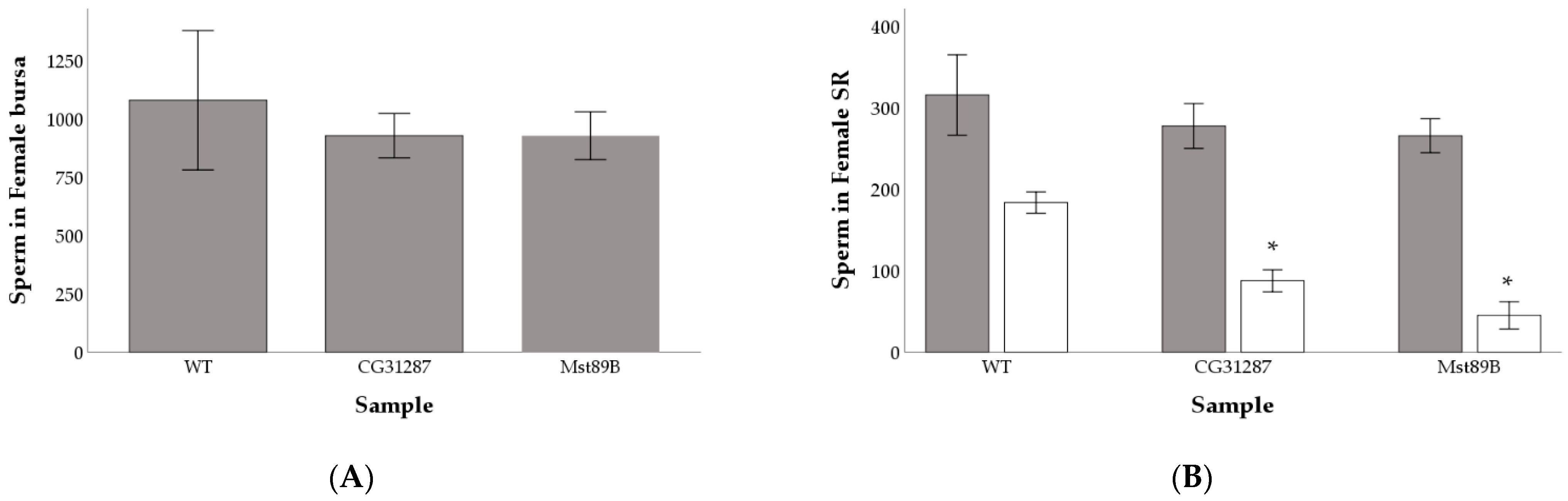 Cells 10 00289 g004 Cells 10 00289 g004