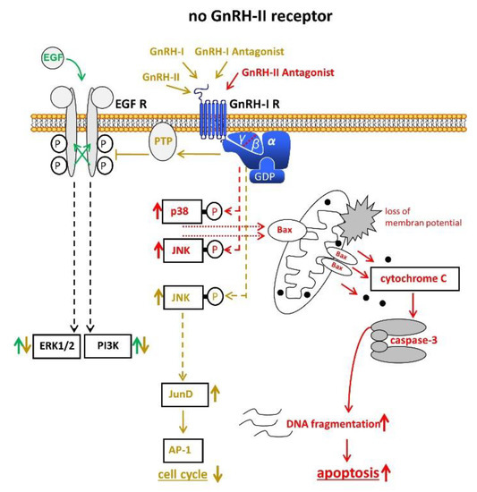 Cells 10 00292 g003 550