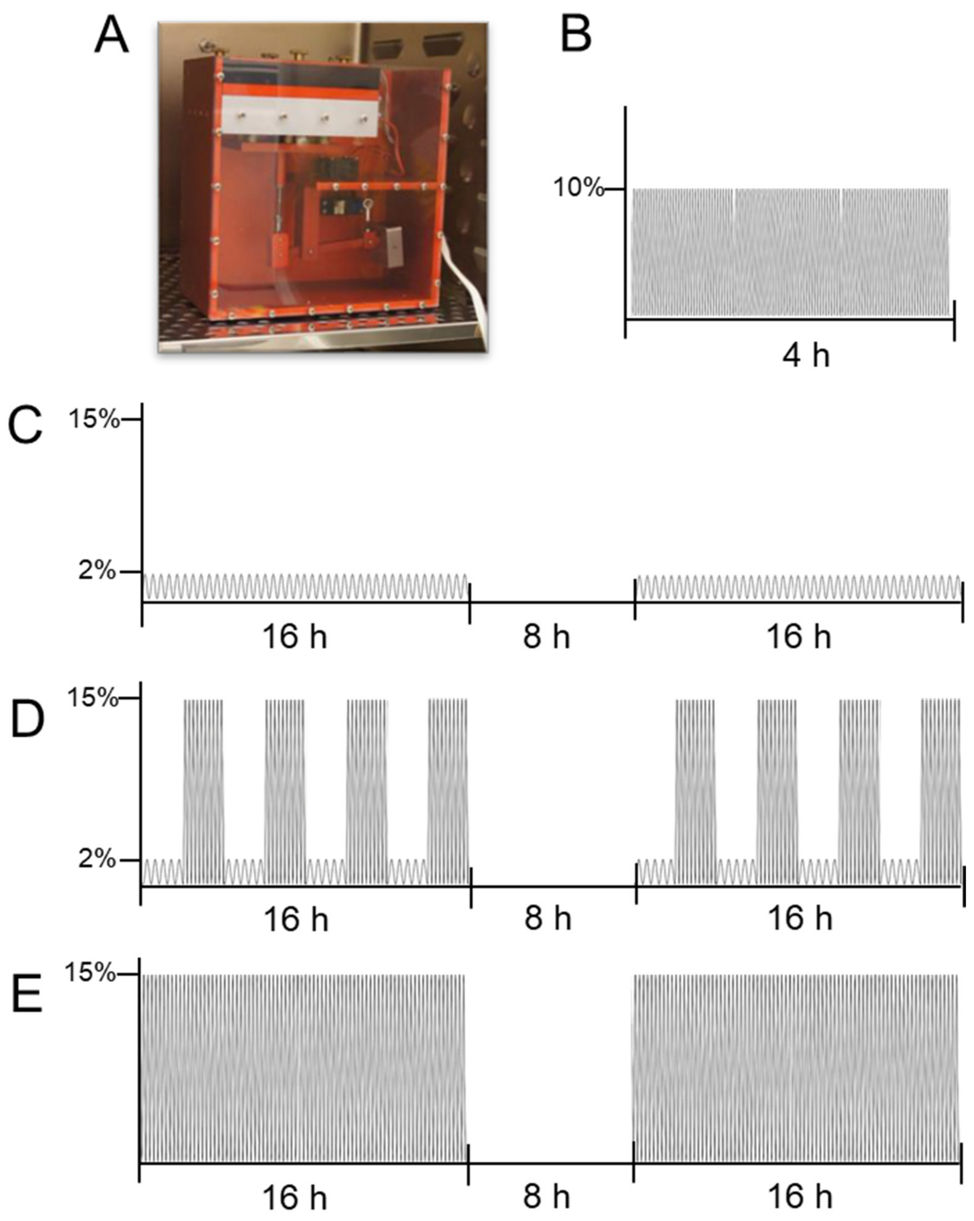Cells 10 00298 g002 Cells 10 00298 g002