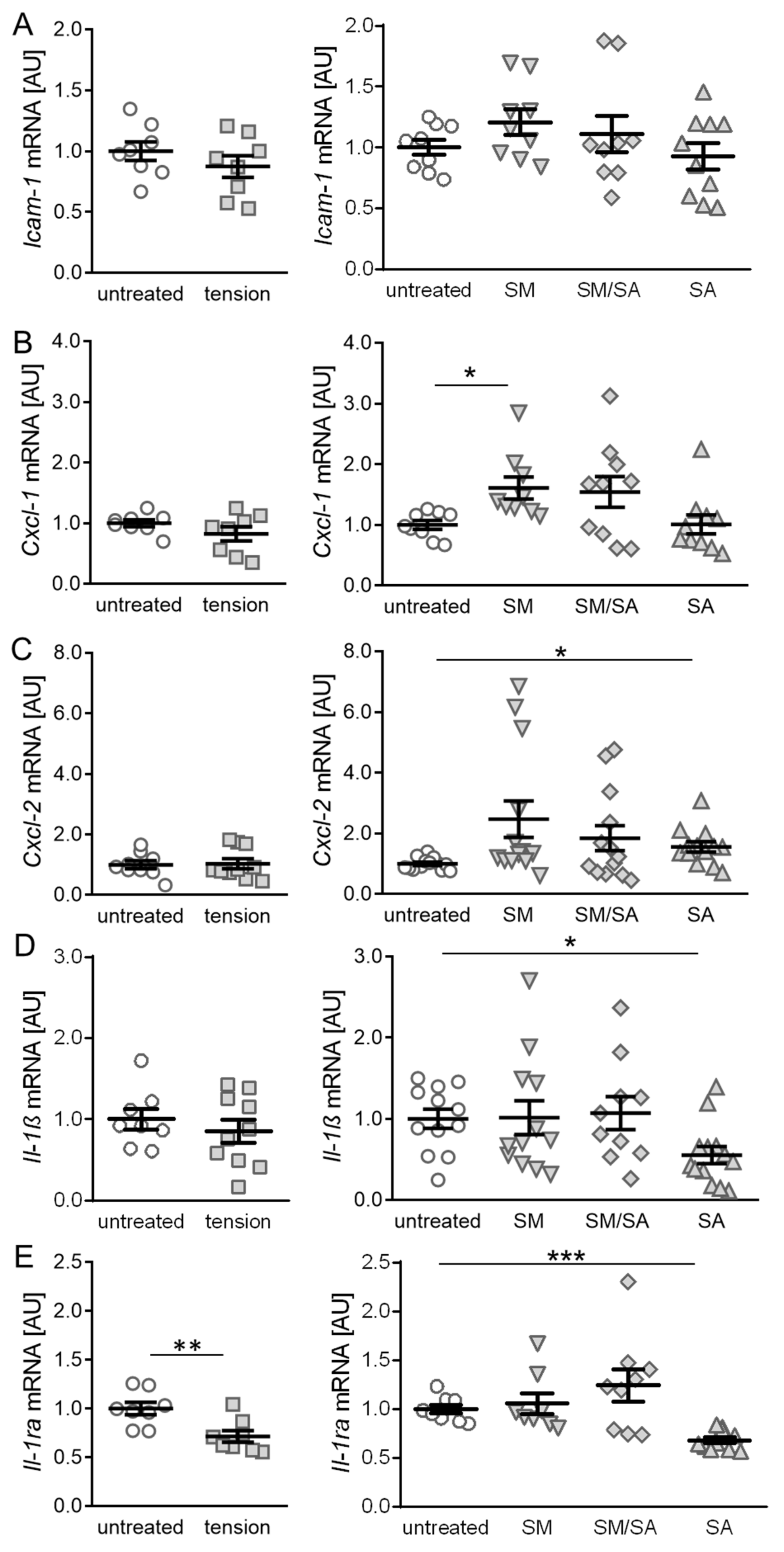 Cells 10 00298 g003 Cells 10 00298 g003