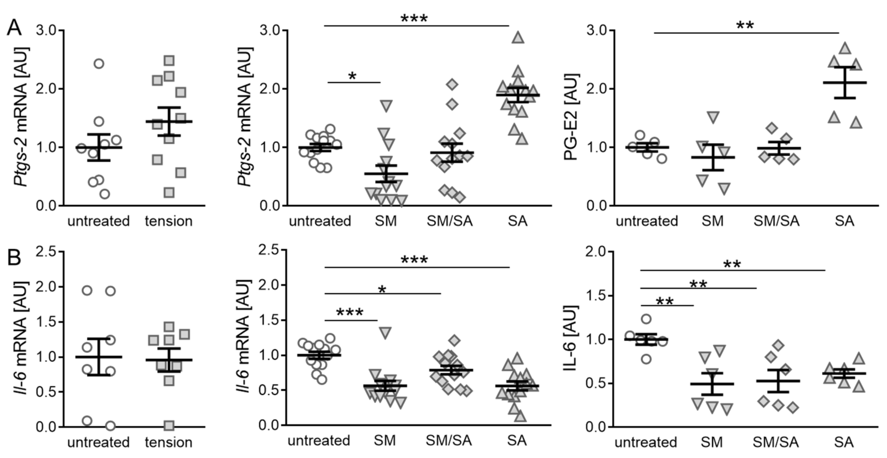 Cells 10 00298 g004 Cells 10 00298 g004