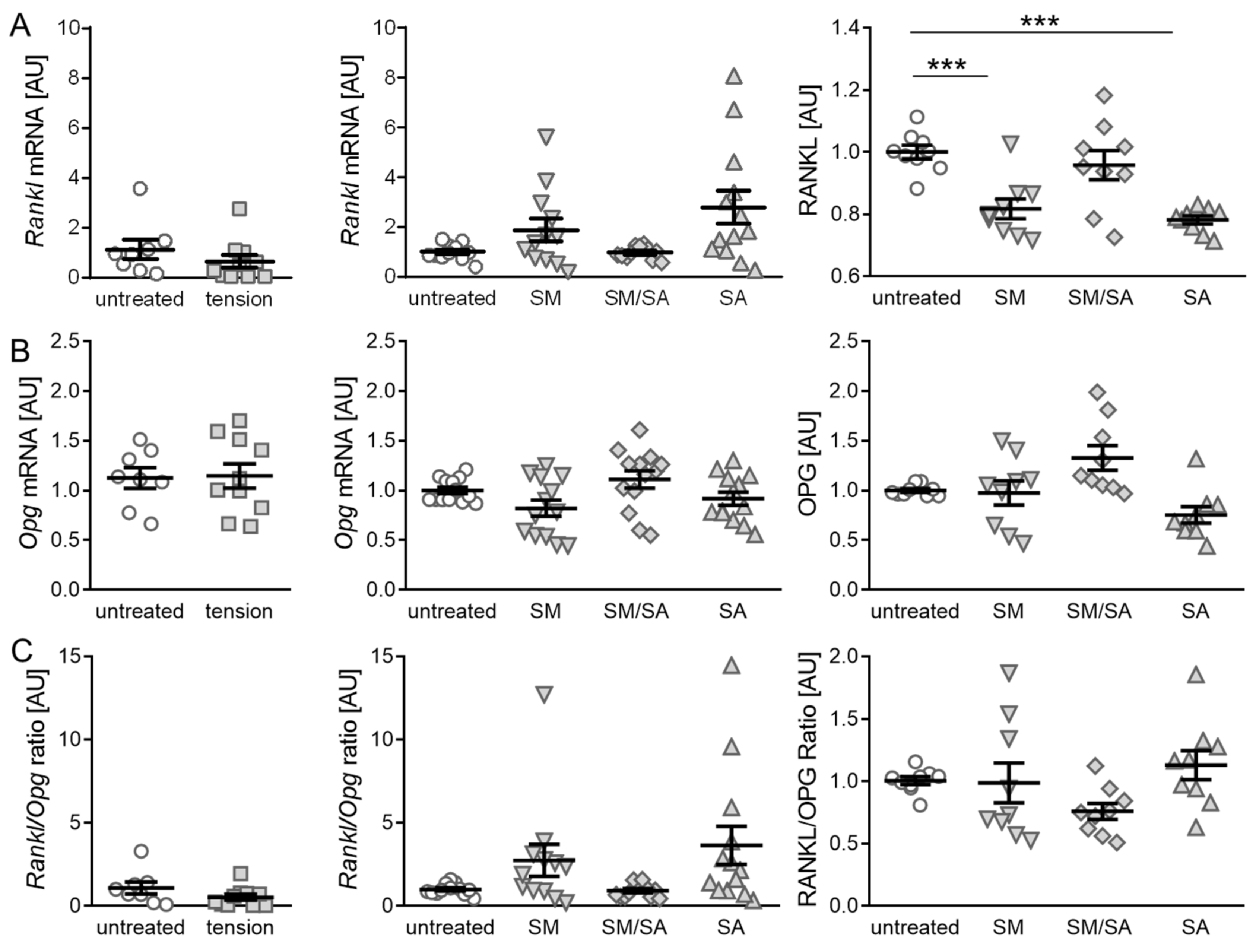 Cells 10 00298 g005 Cells 10 00298 g005