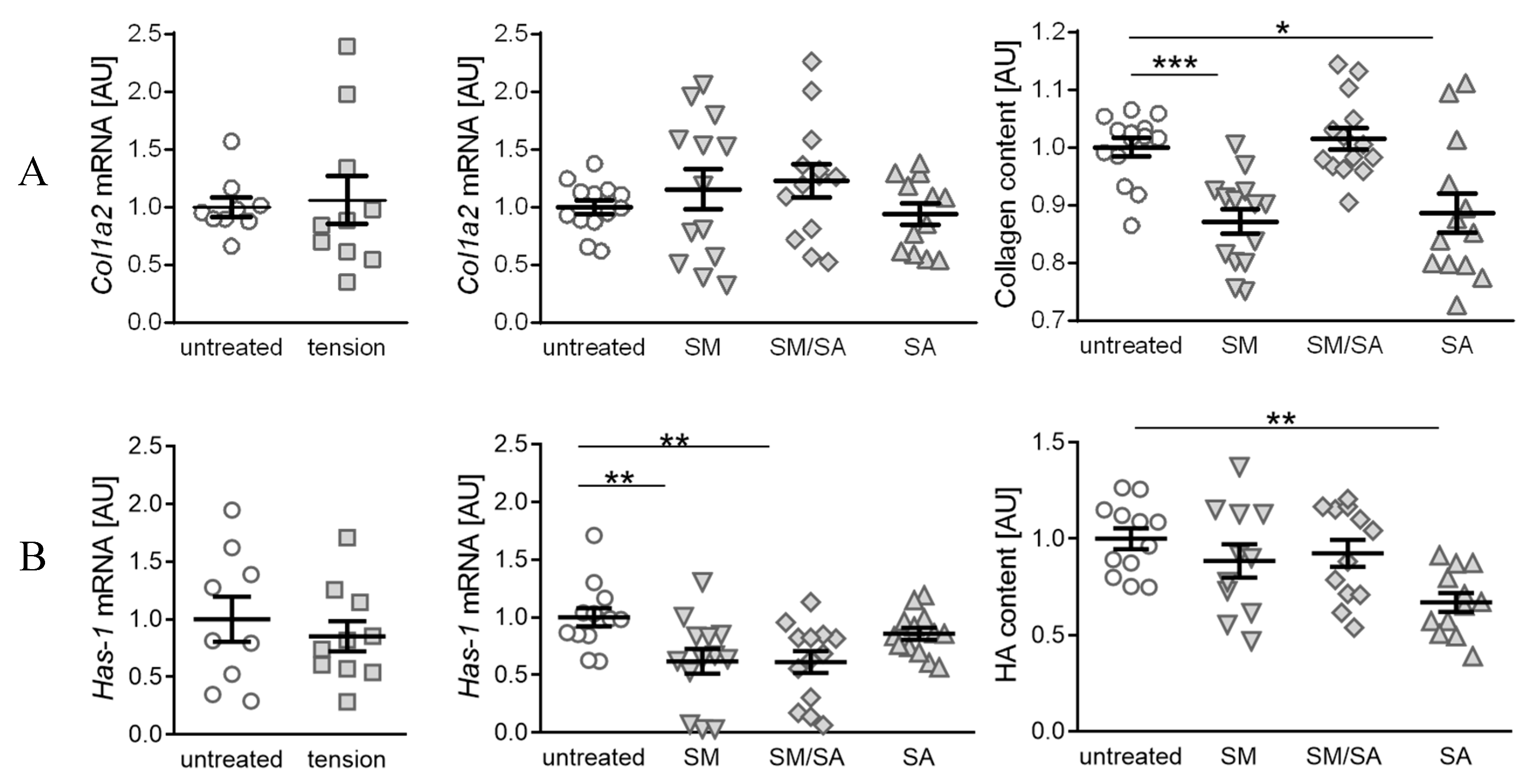 Cells 10 00298 g006 Cells 10 00298 g006