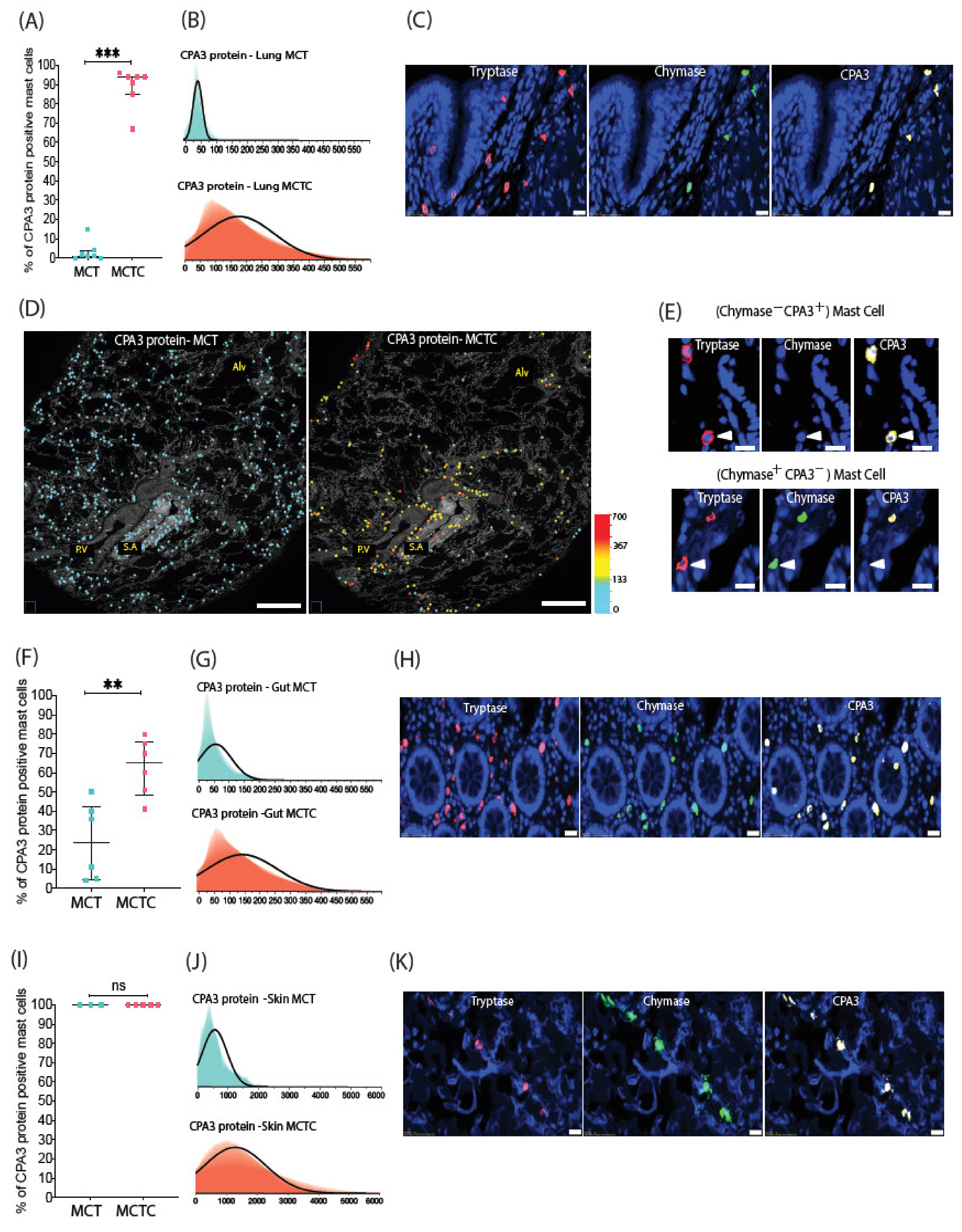 Cells 10 00309 g002 Cells 10 00309 g002