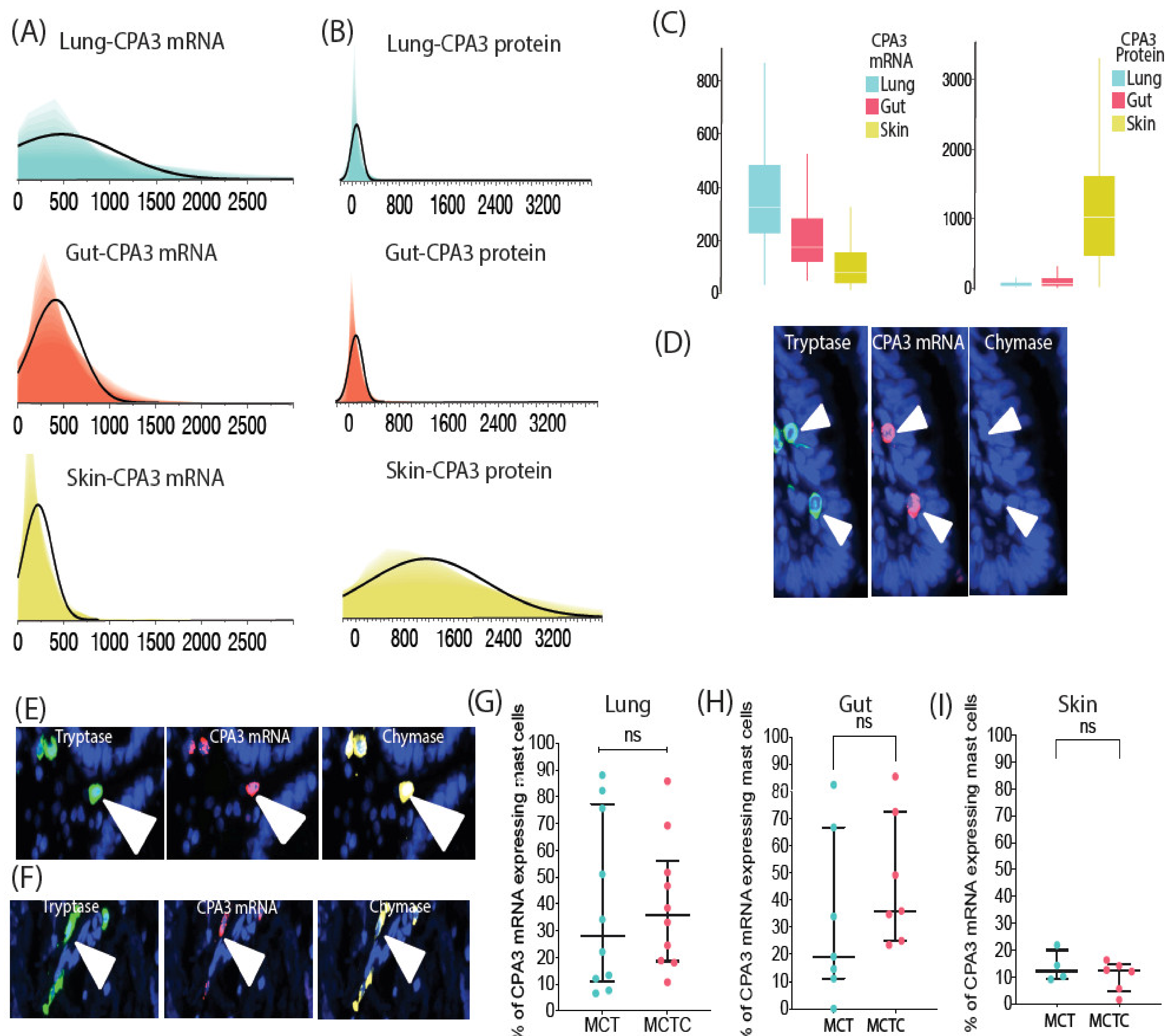 Cells 10 00309 g003 Cells 10 00309 g003