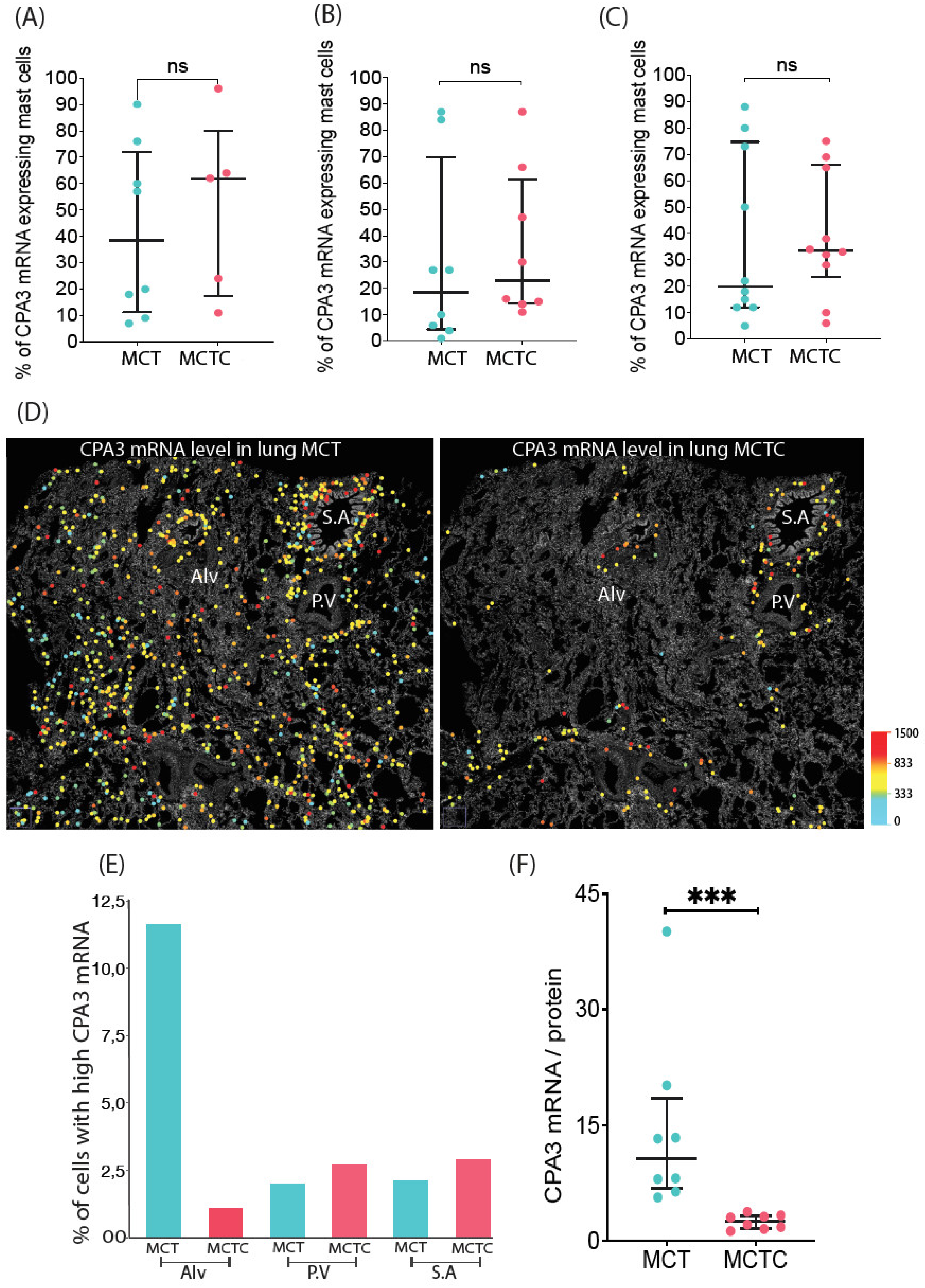 Cells 10 00309 g004 Cells 10 00309 g004