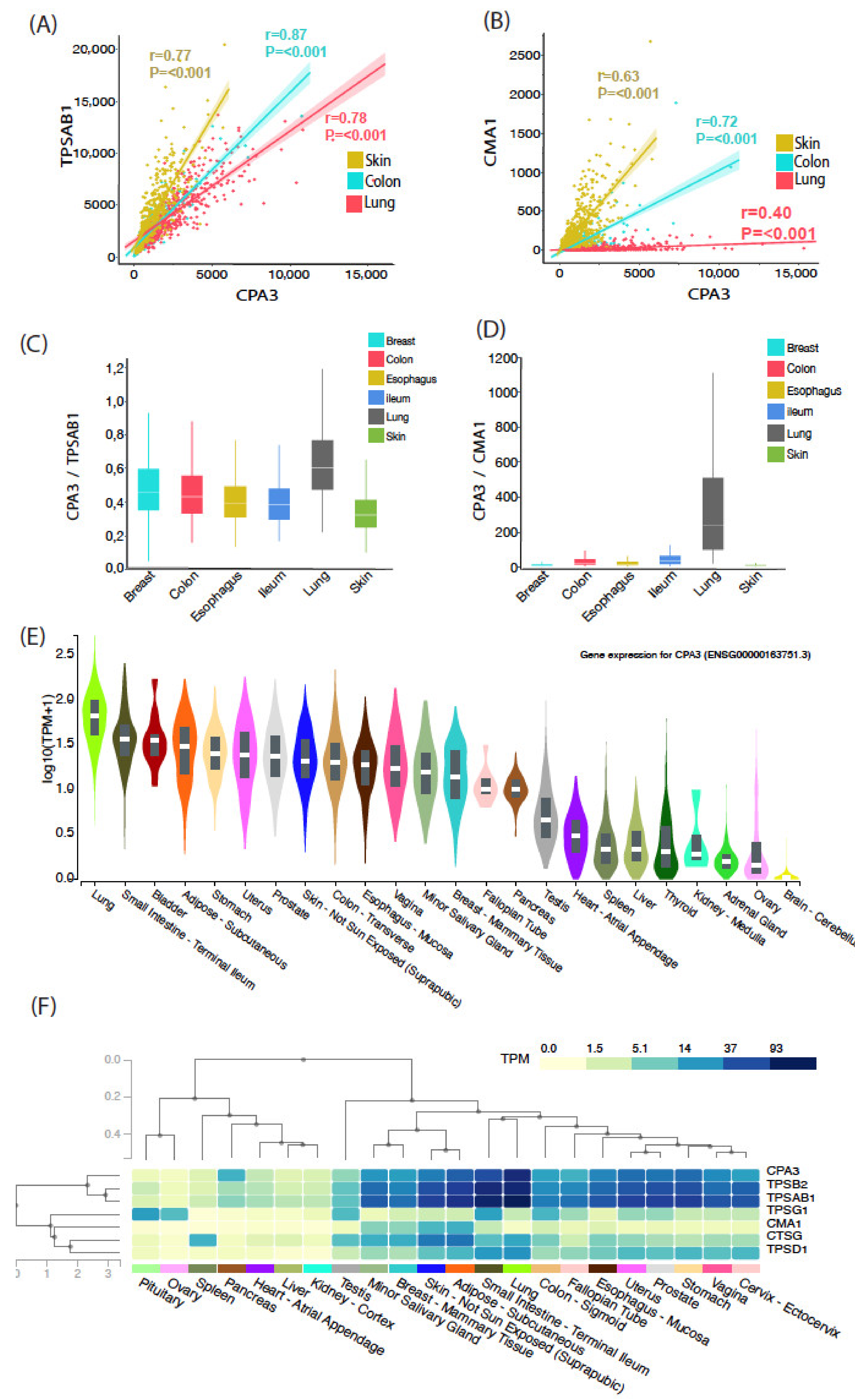 Cells 10 00309 g006 Cells 10 00309 g006