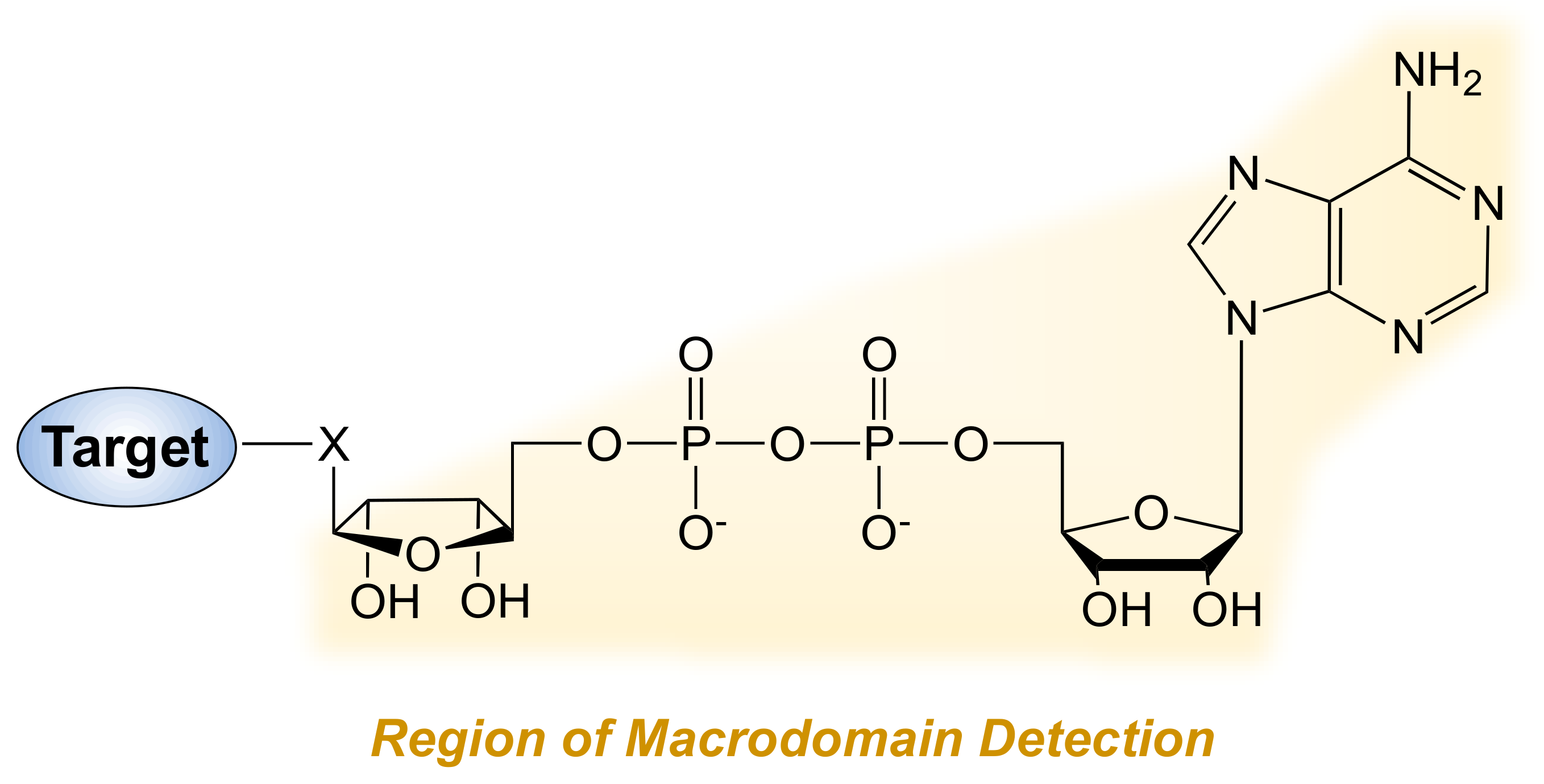 Cells 10 00313 g003 Cells 10 00313 g003