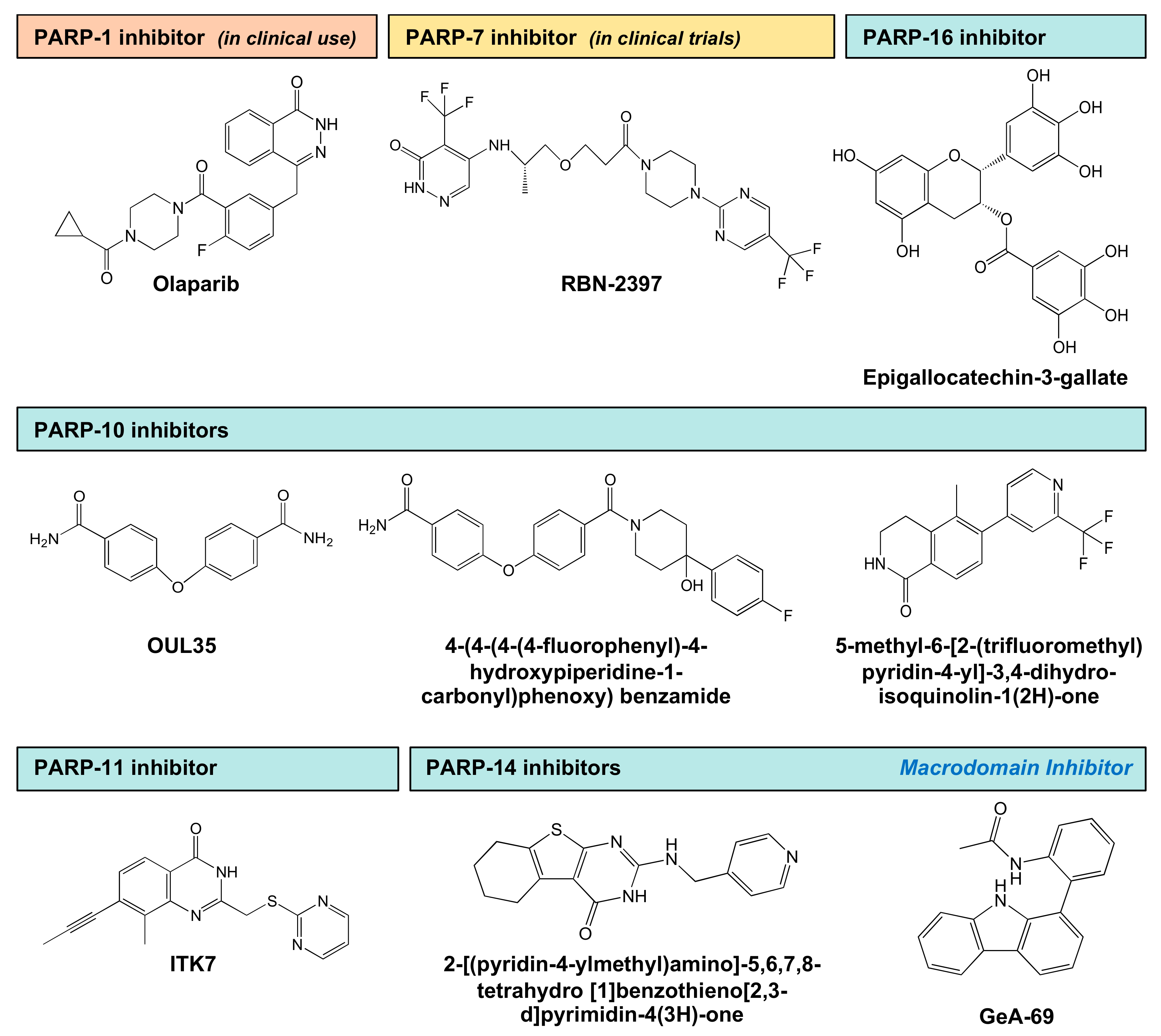 Cells 10 00313 g005 Cells 10 00313 g005