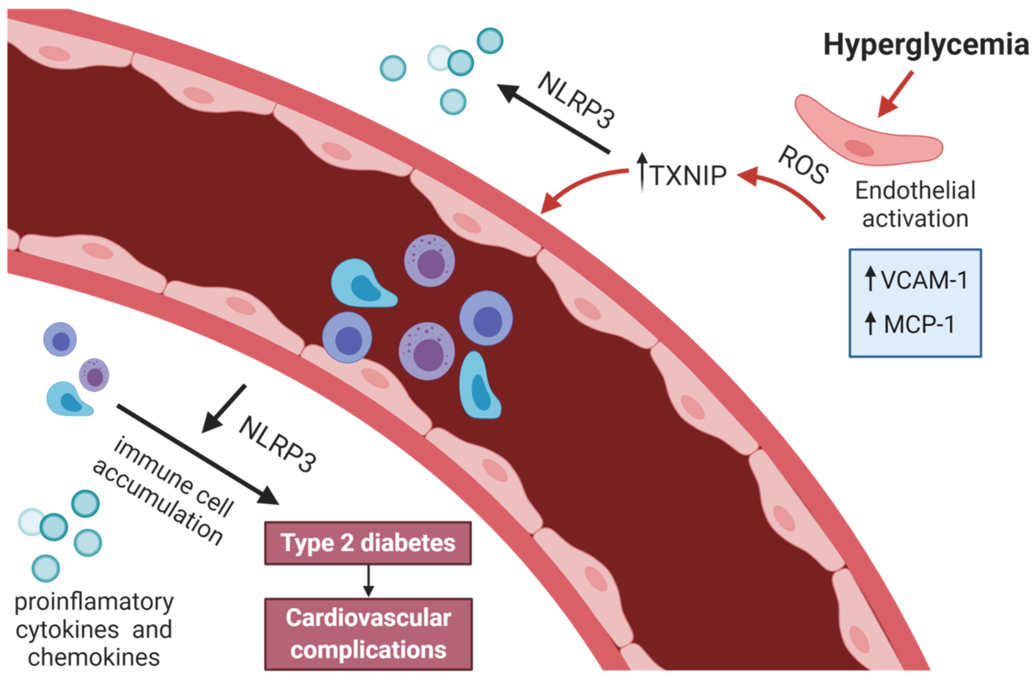 Cells 10 00314 g001 Cells 10 00314 g001