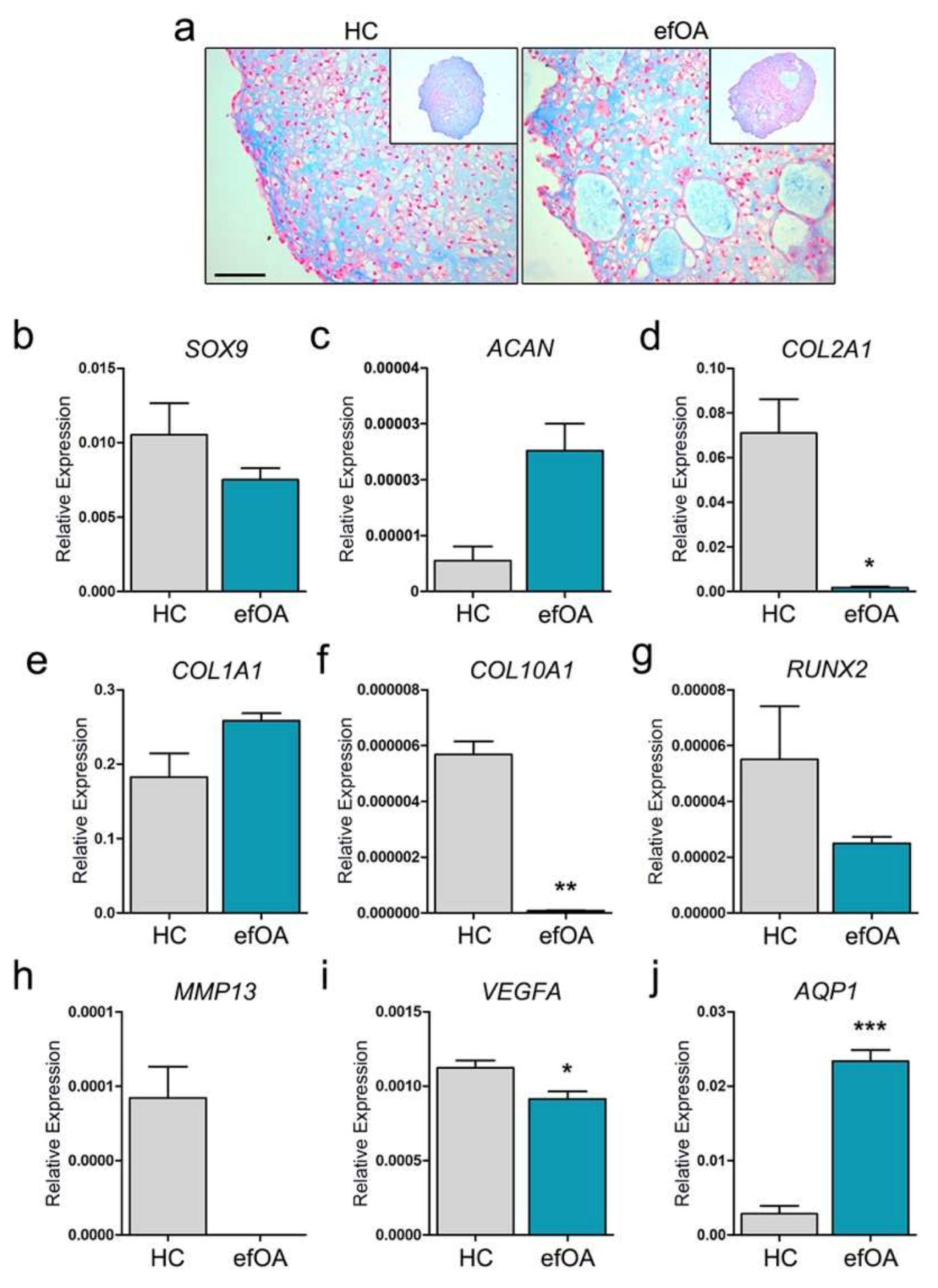 Cells 10 00317 g002 Cells 10 00317 g002