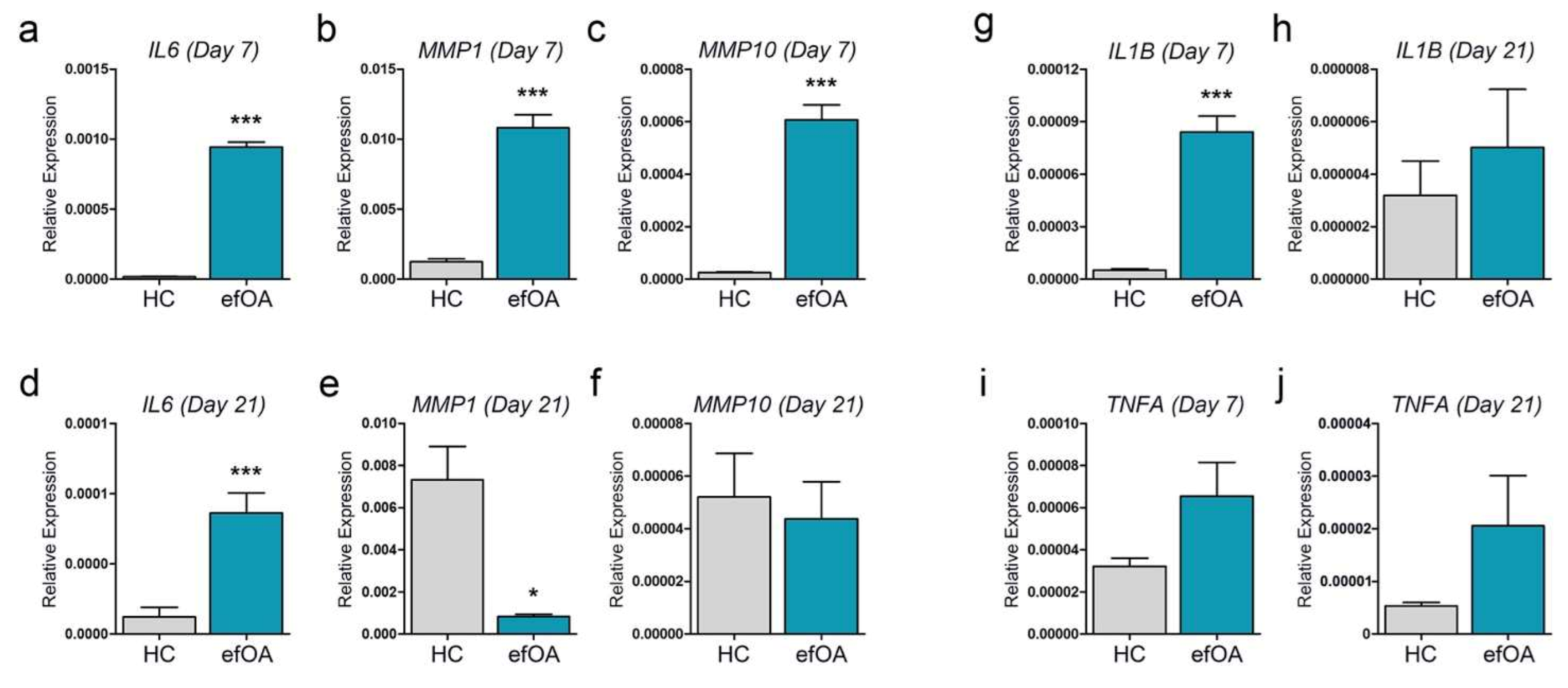 Cells 10 00317 g005 Cells 10 00317 g005