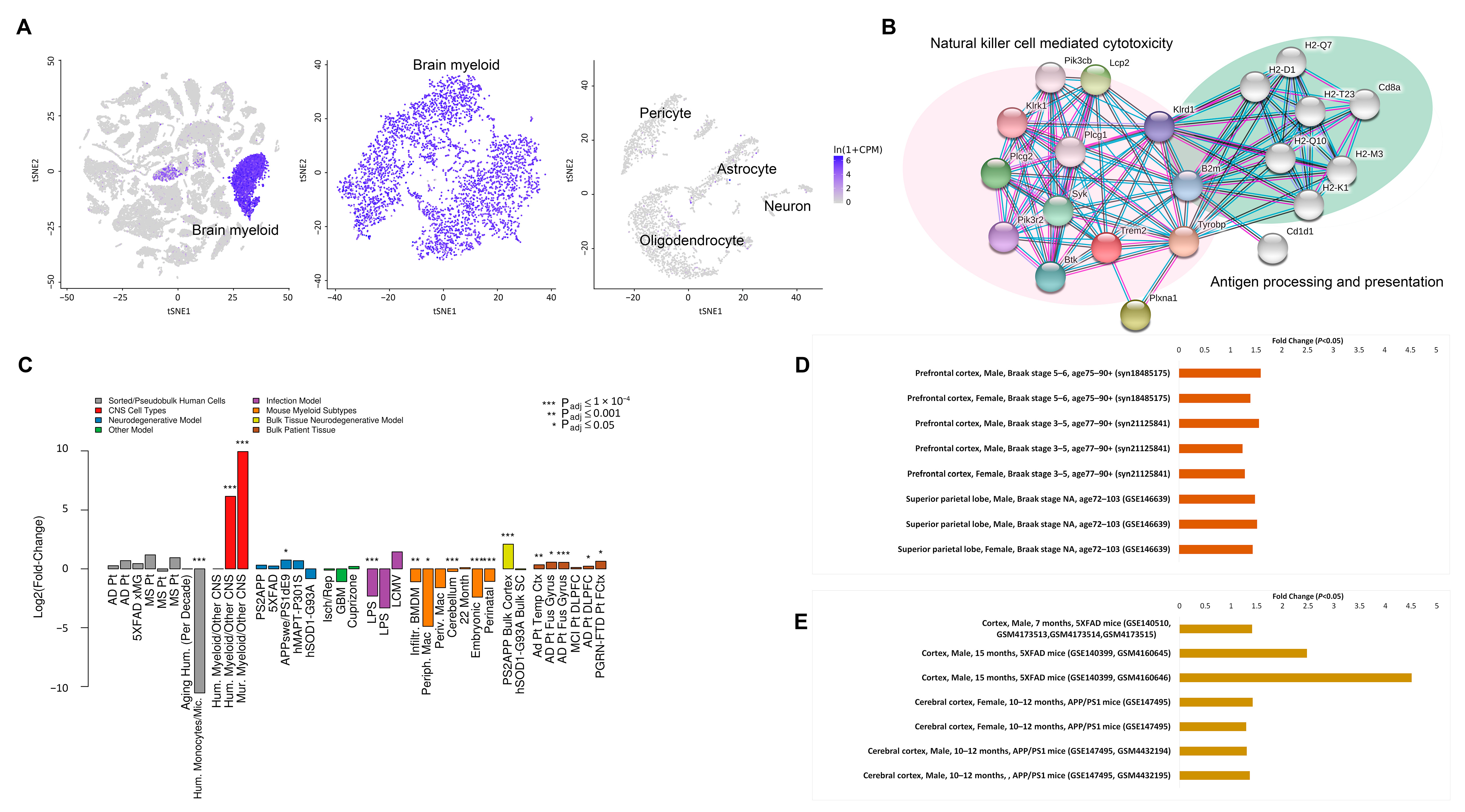 Cells 10 00321 g001 Cells 10 00321 g001