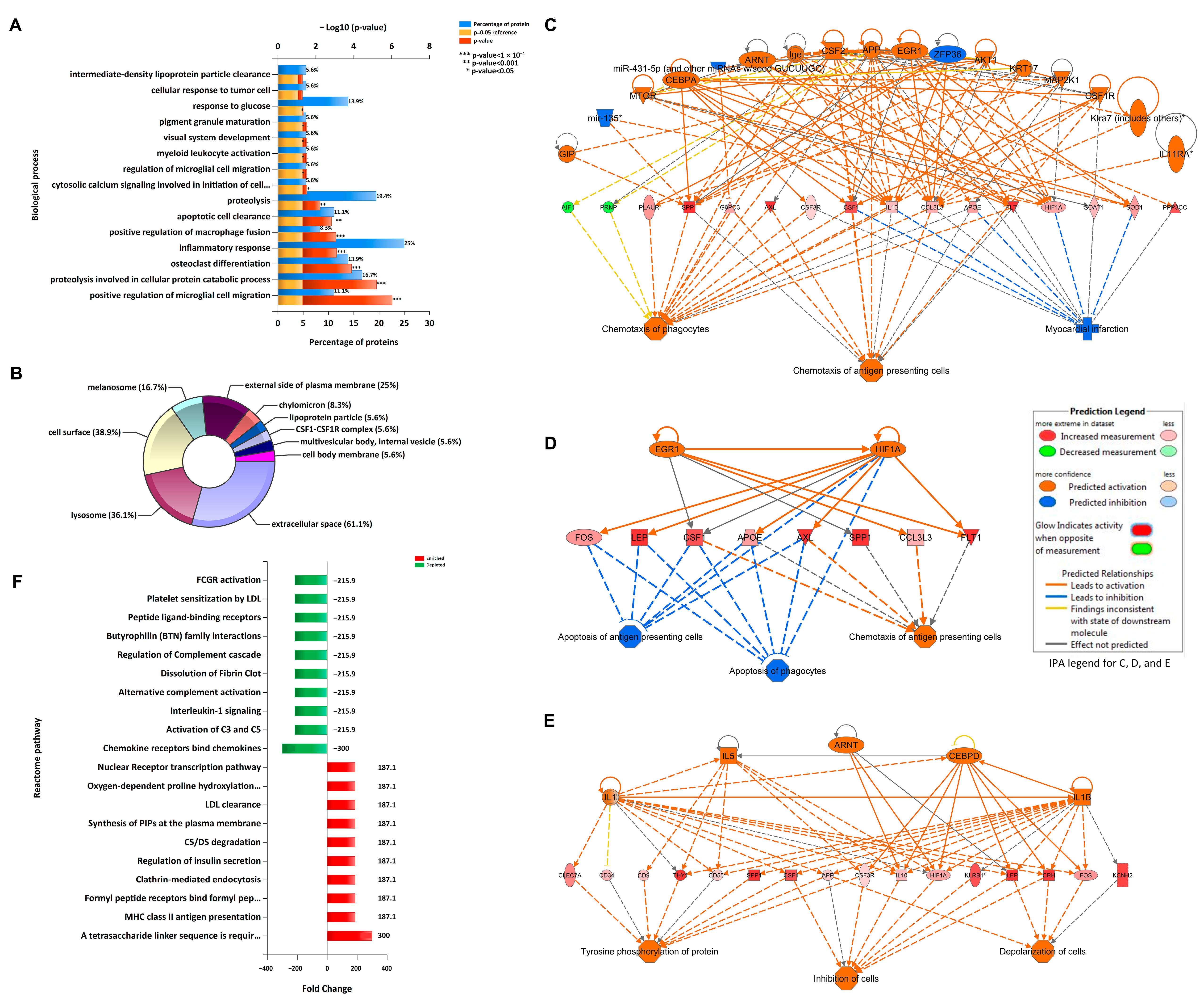 Cells 10 00321 g002 Cells 10 00321 g002