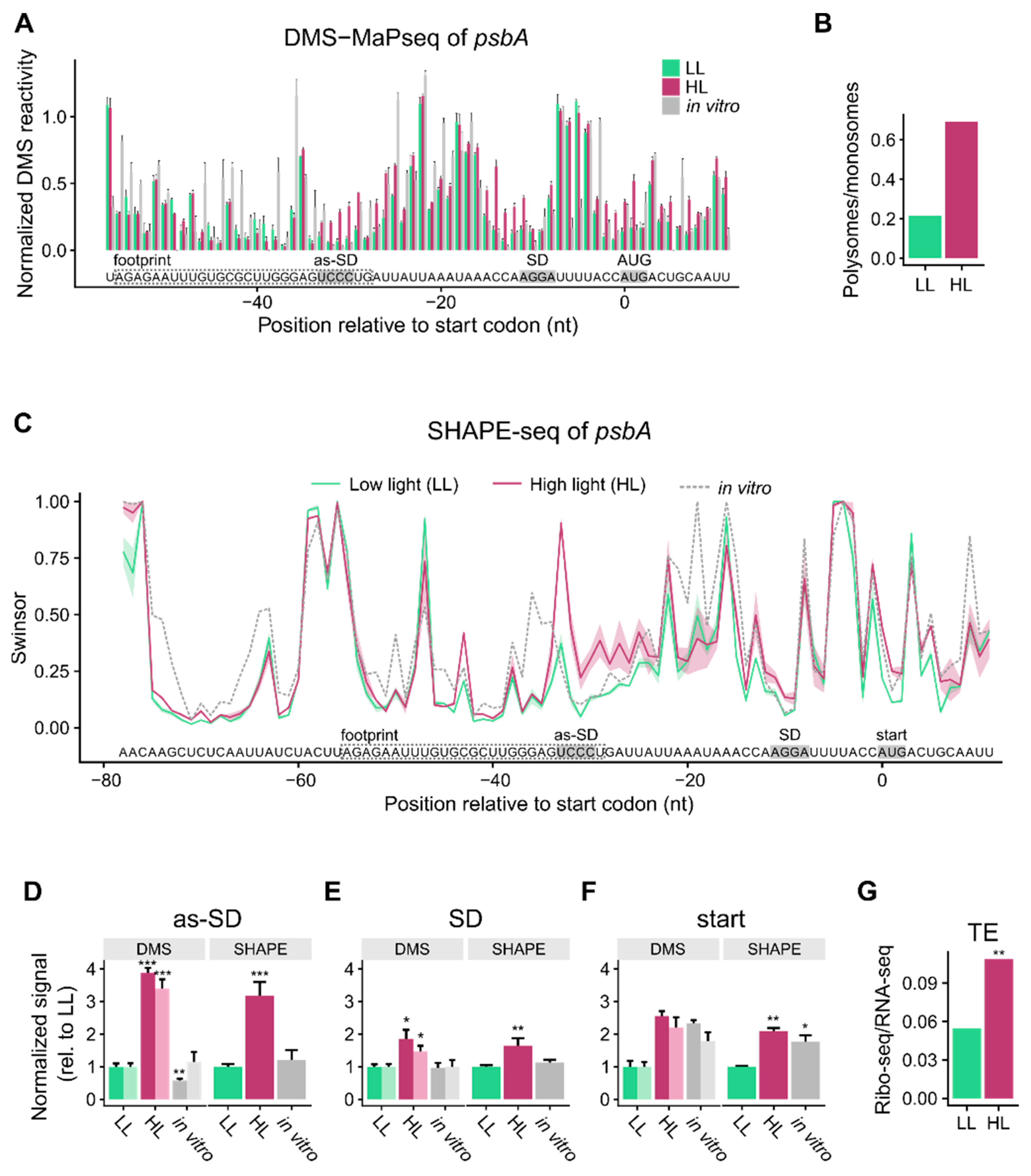Cells 10 00322 g001 Cells 10 00322 g001
