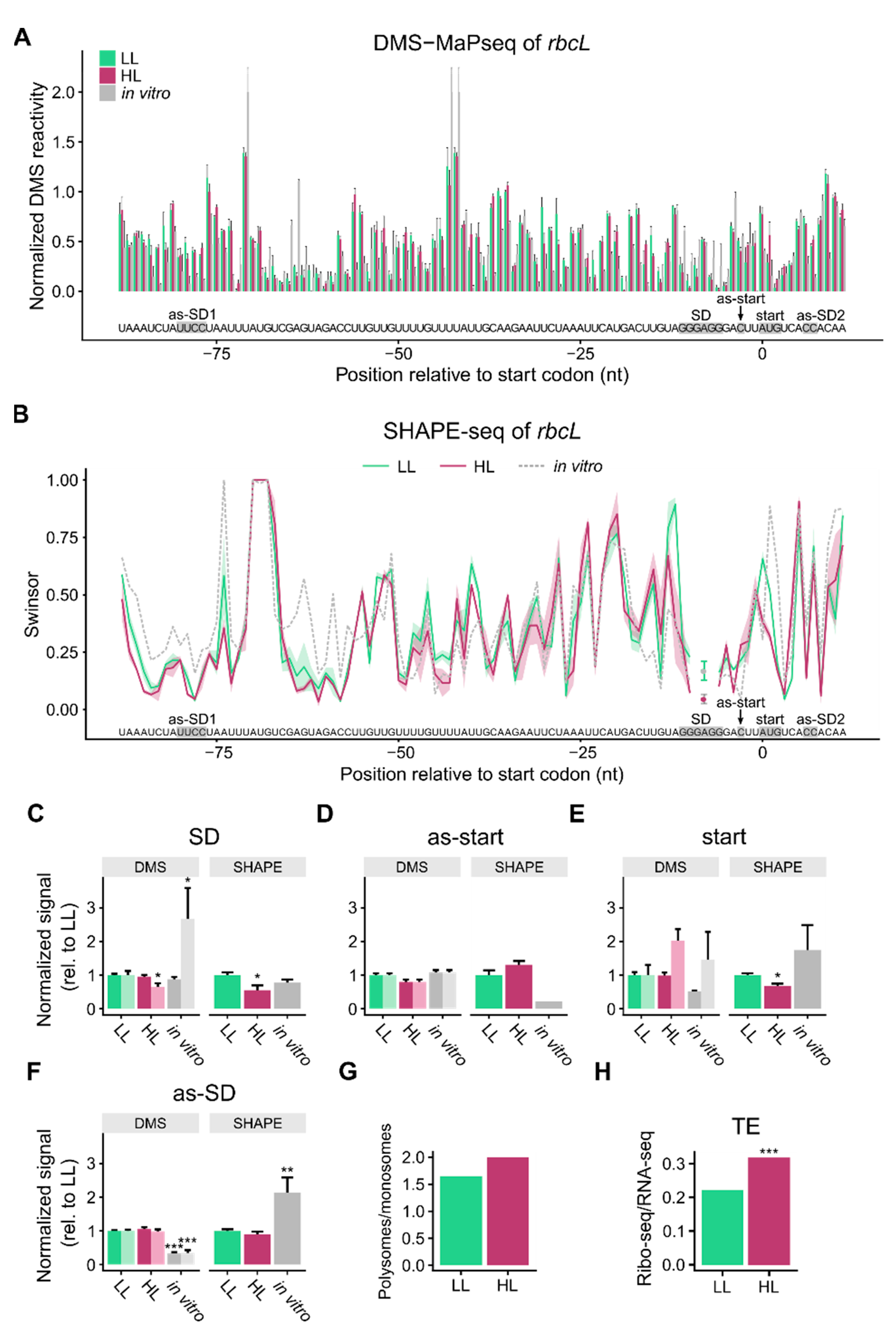 Cells 10 00322 g003 Cells 10 00322 g003