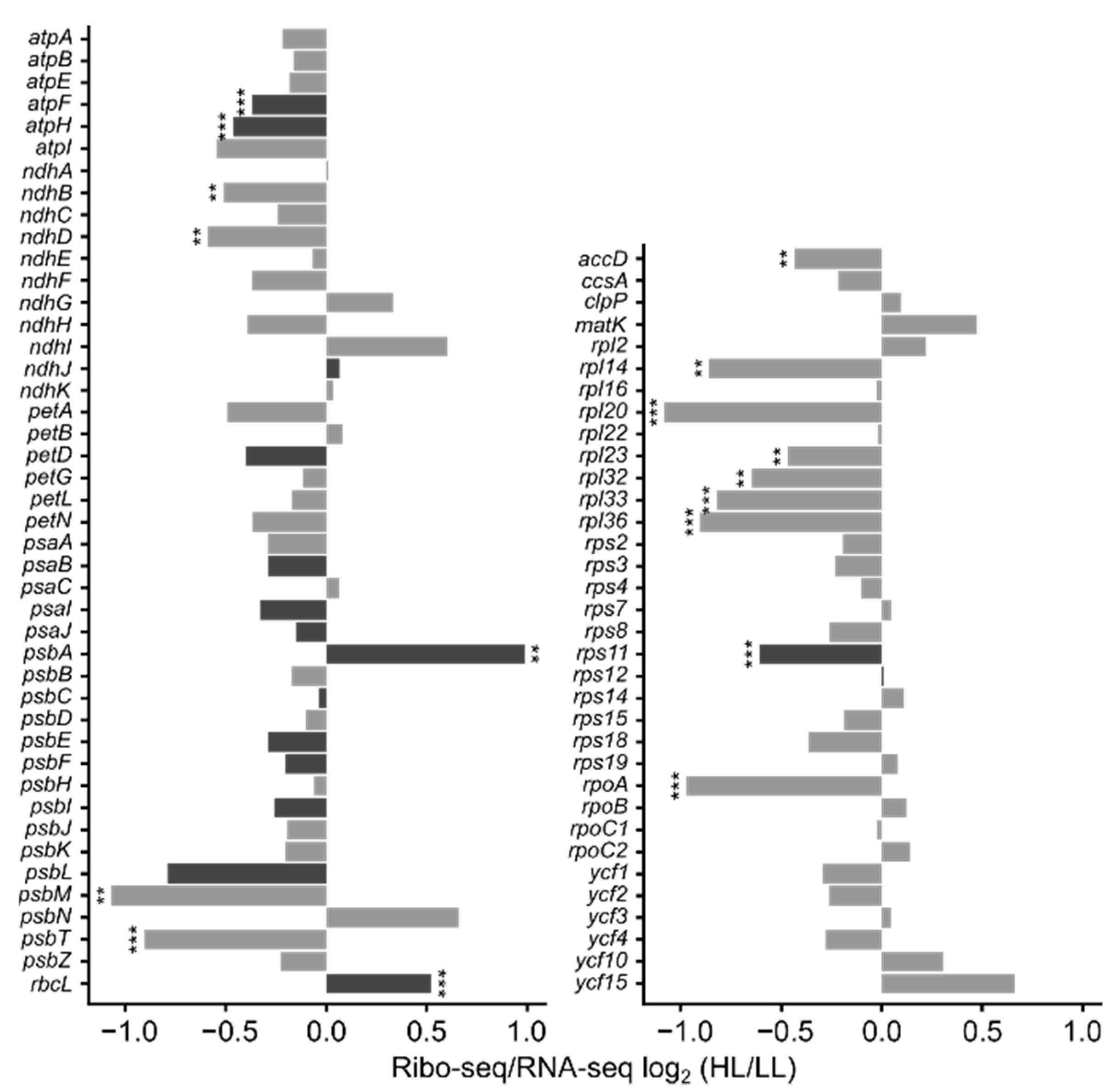 Cells 10 00322 g004 Cells 10 00322 g004