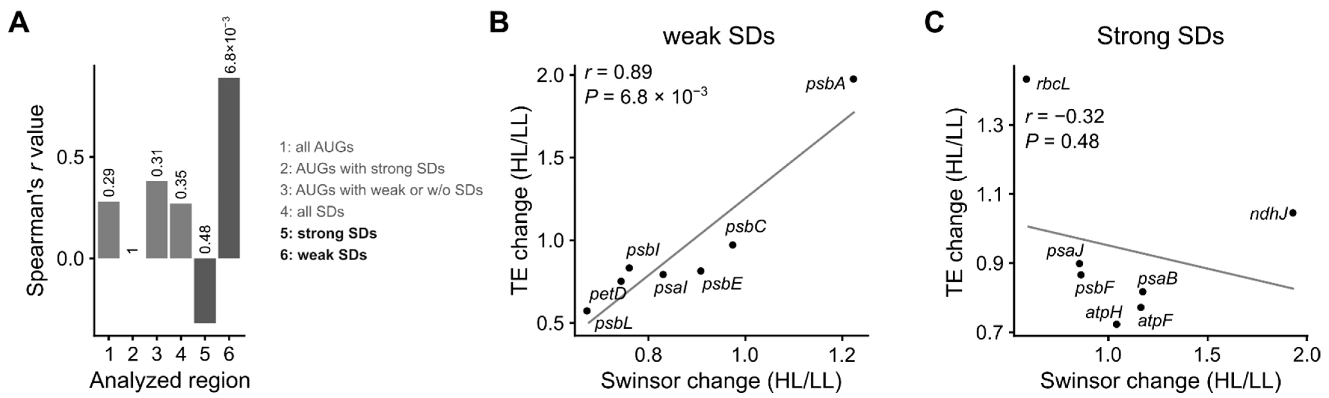 Cells 10 00322 g005 Cells 10 00322 g005
