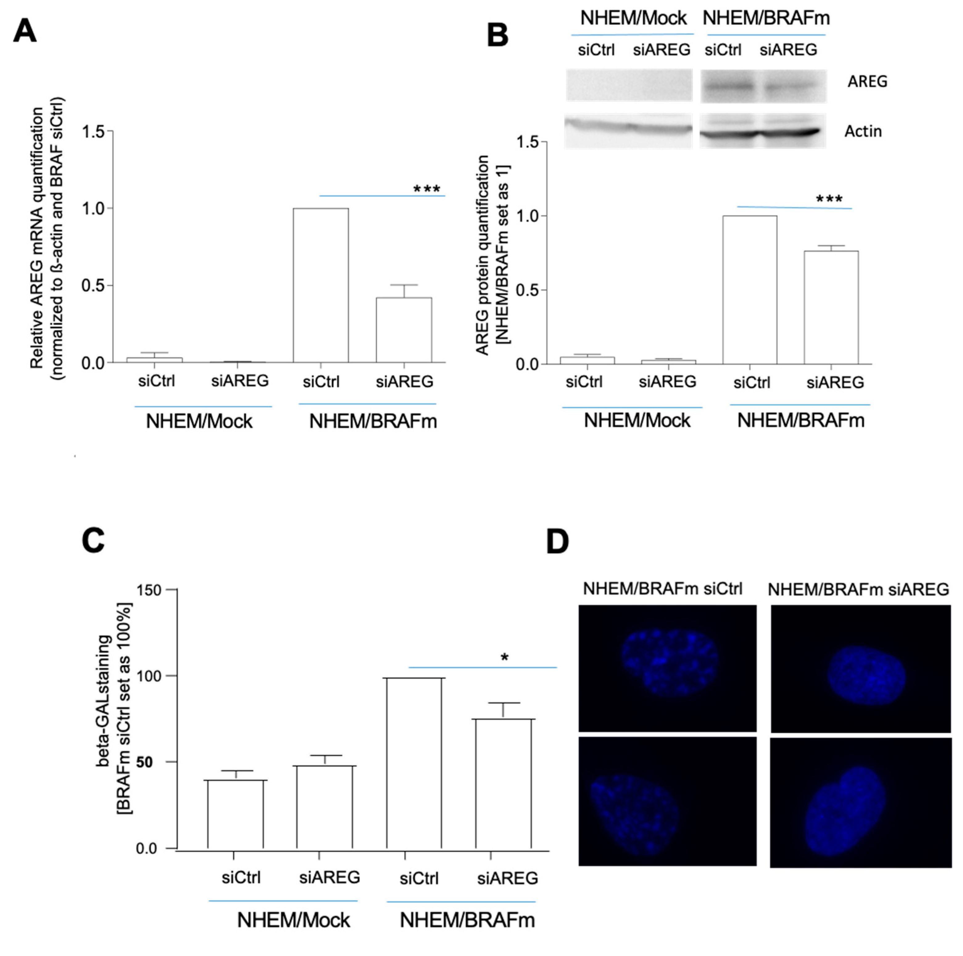 Cells 10 00326 g002a Cells 10 00326 g002a