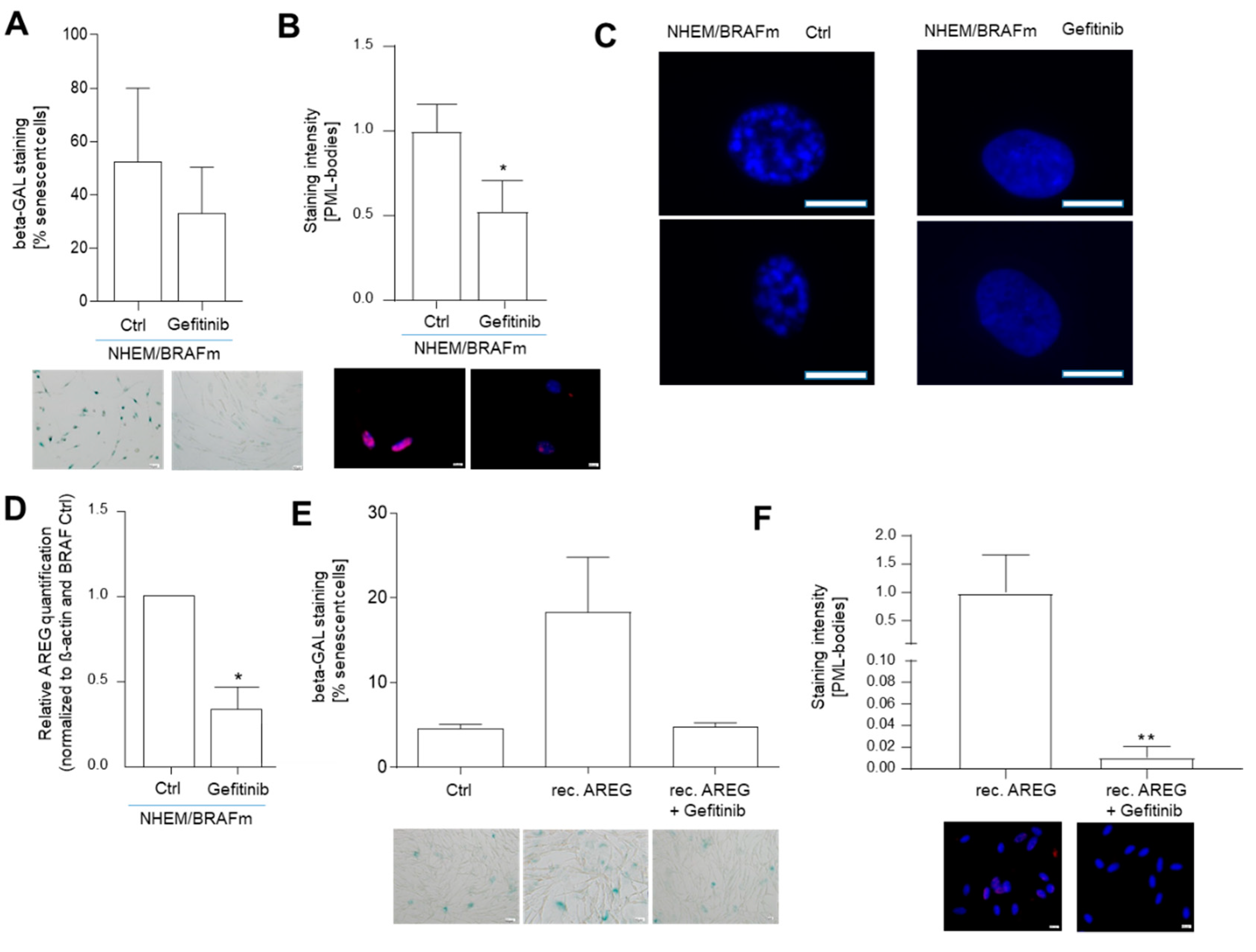 Cells 10 00326 g004 Cells 10 00326 g004