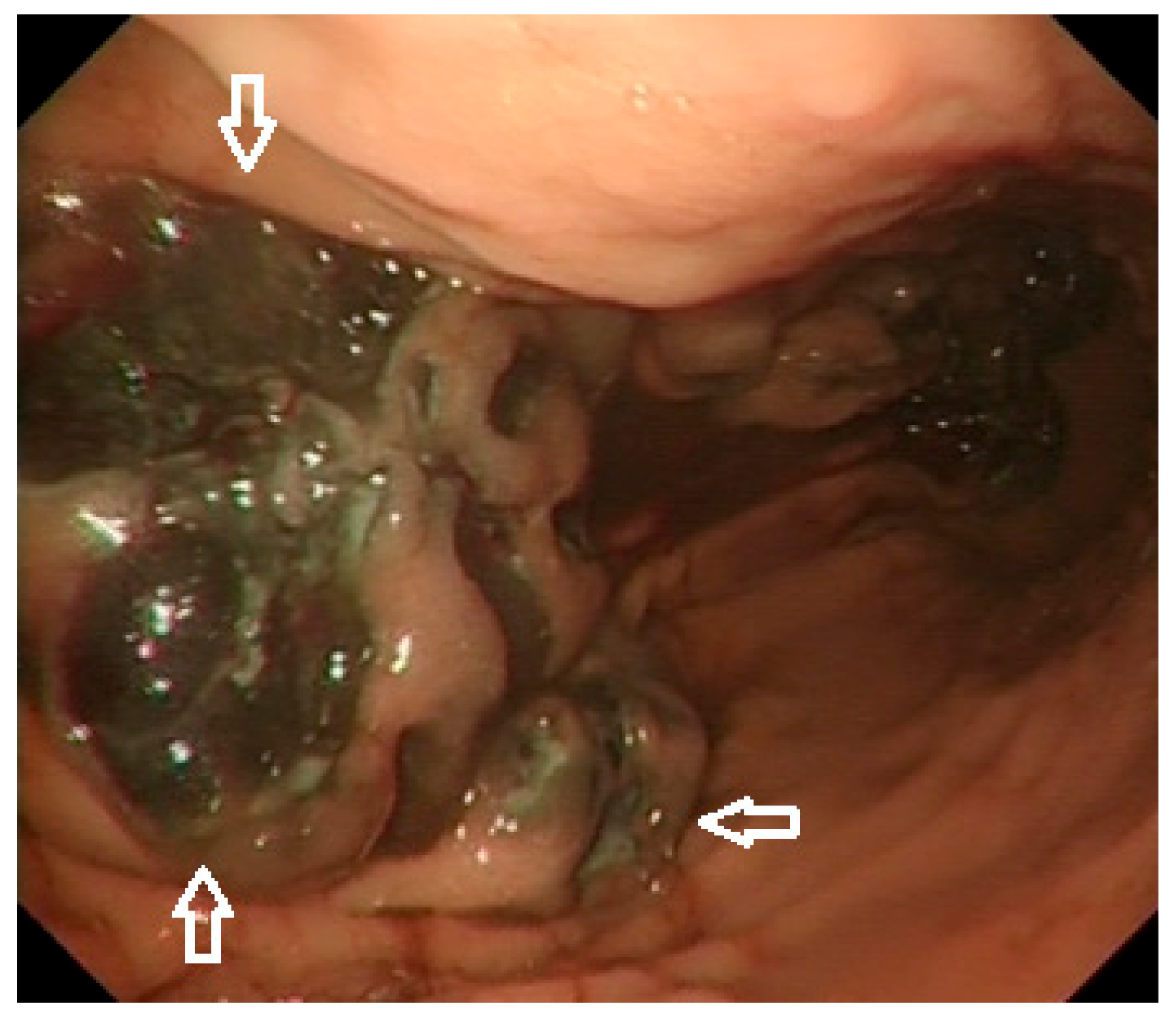 Cells 10 00327 g002 Cells 10 00327 g002