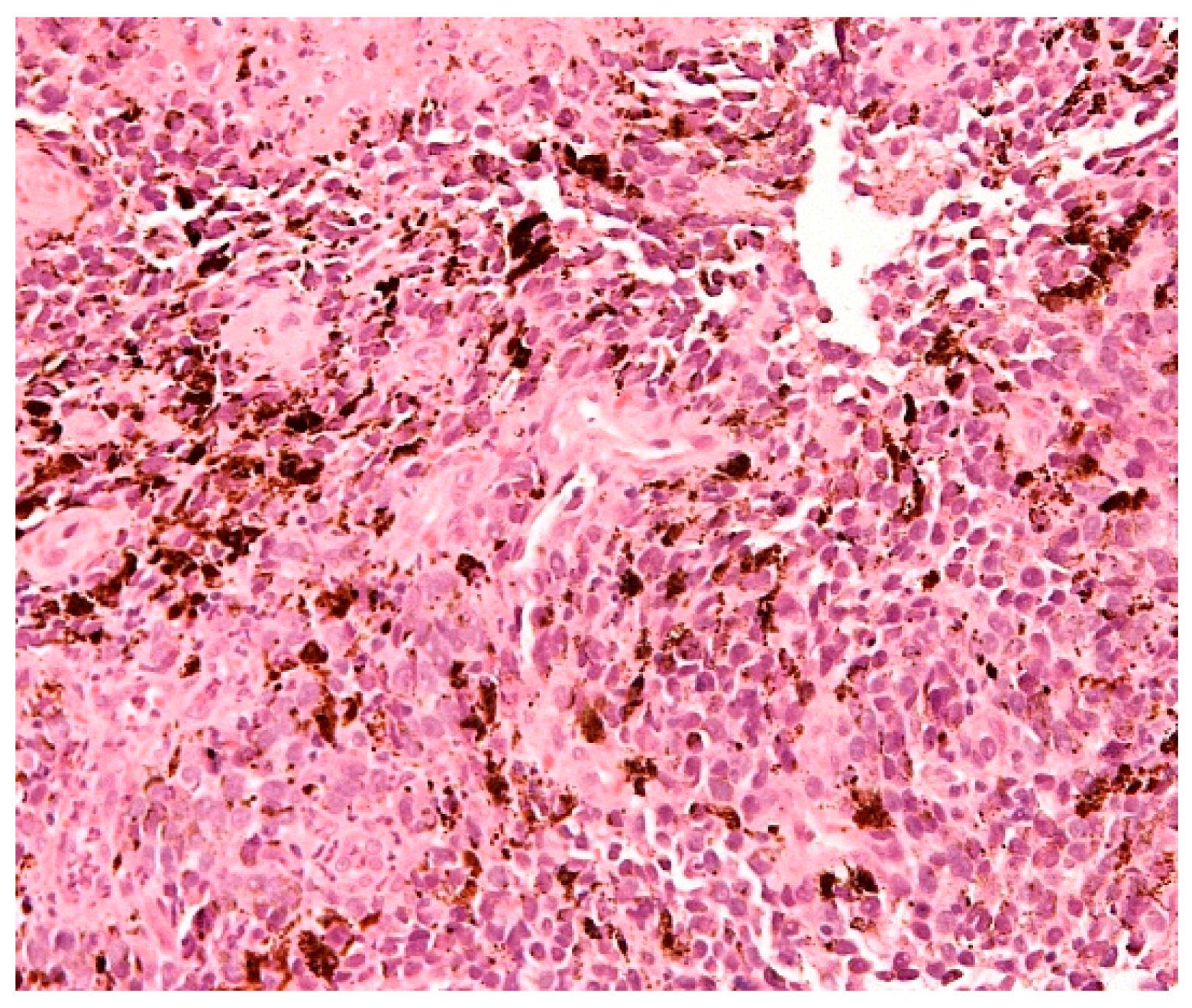 Cells 10 00327 g003 Cells 10 00327 g003