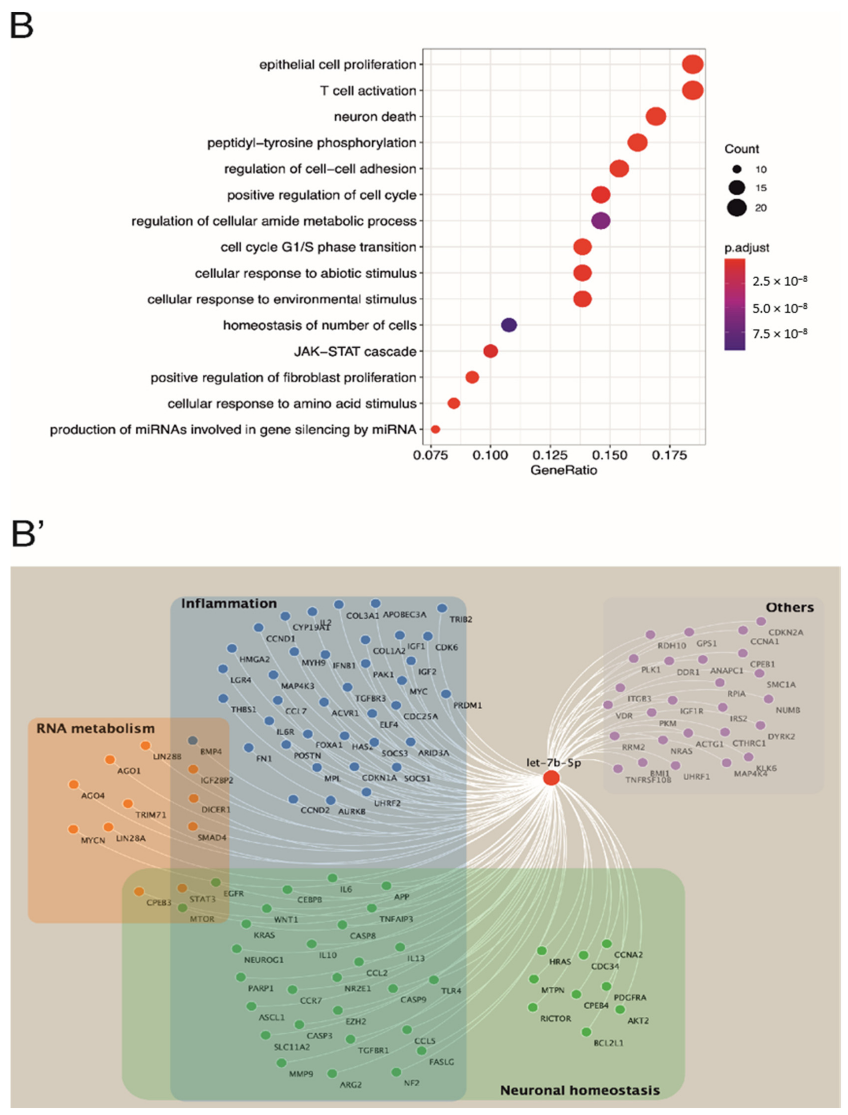 Cells 10 00330 g001b Cells 10 00330 g001b