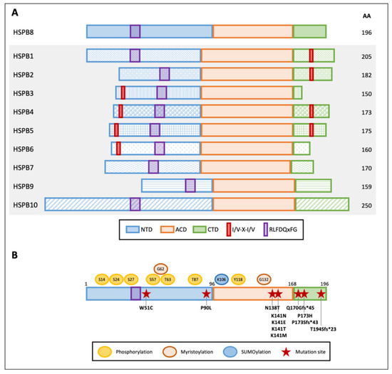 Cells 10 00335 g001 550