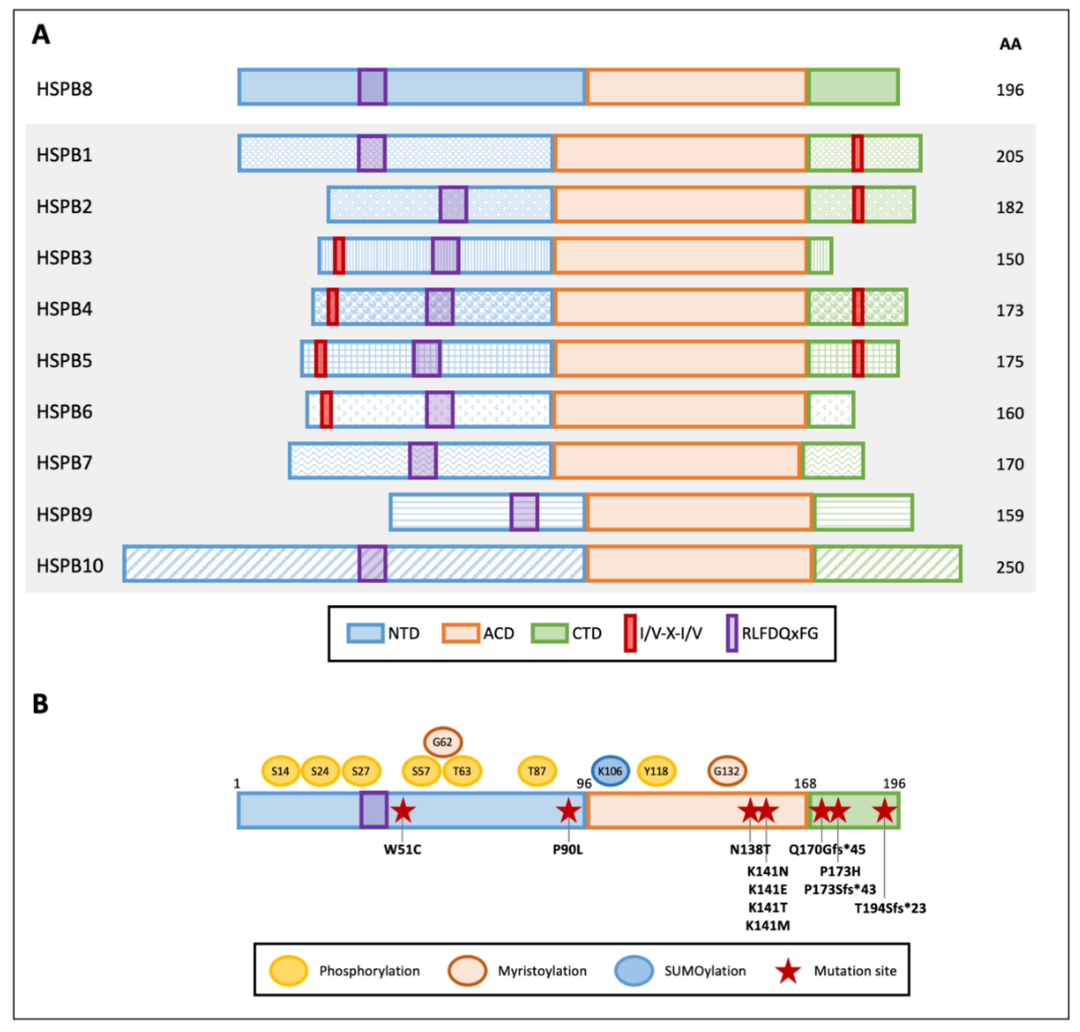 Cells 10 00335 g001 Cells 10 00335 g001