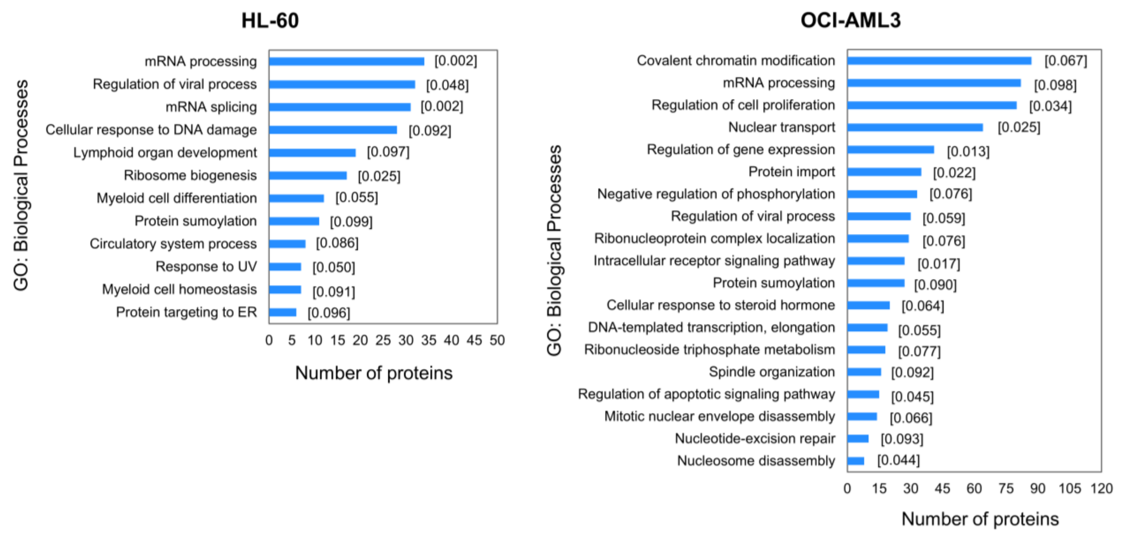 Cells 10 00338 g003 Cells 10 00338 g003