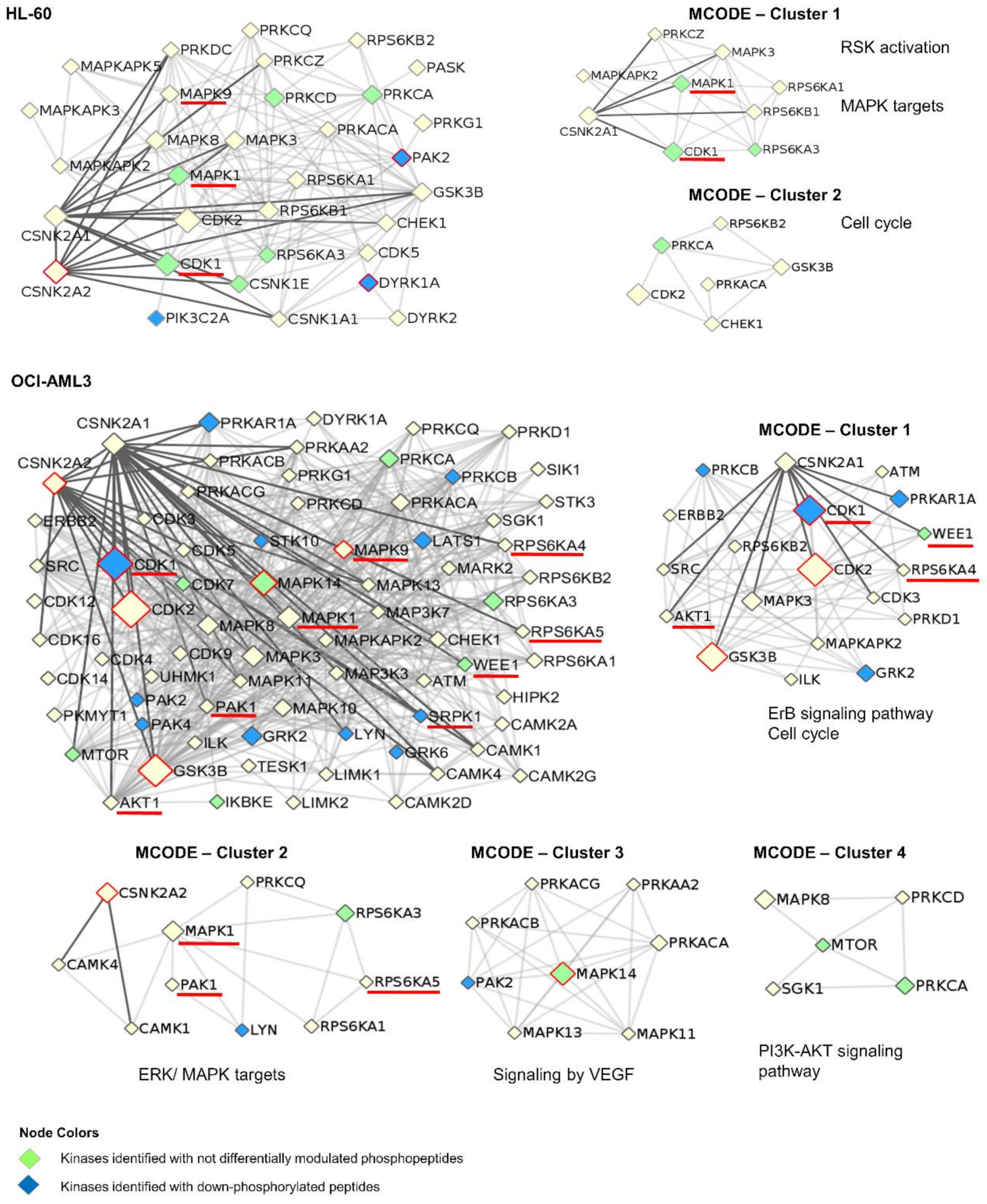 Cells 10 00338 g005 Cells 10 00338 g005