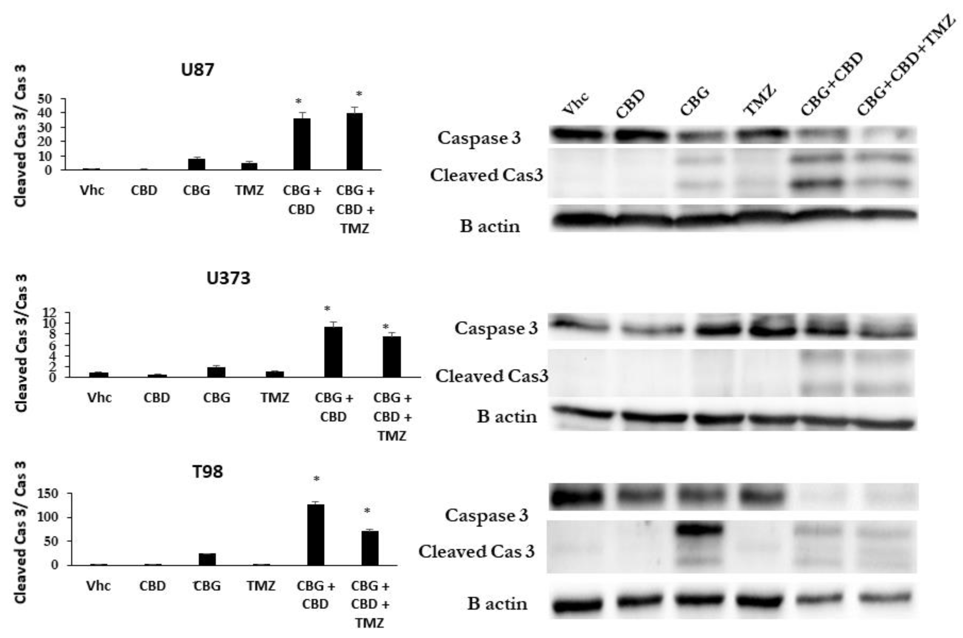 Cells 10 00340 g004