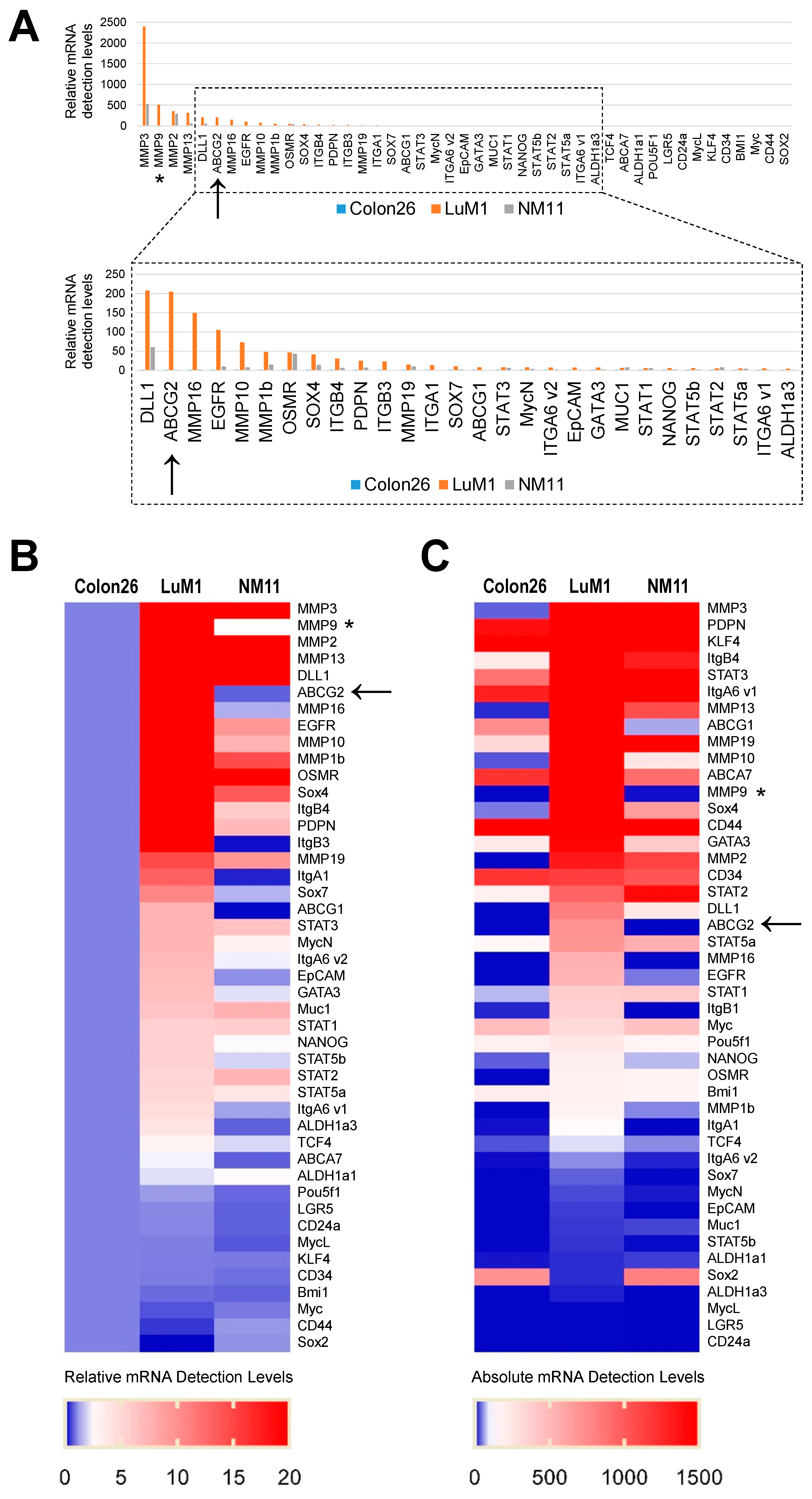Cells 10 00344 g001 Cells 10 00344 g001