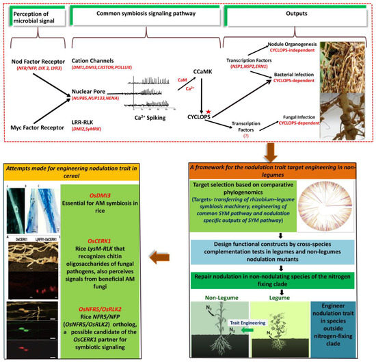 Cells Free FullText Metabolomics Intervention Towards Better