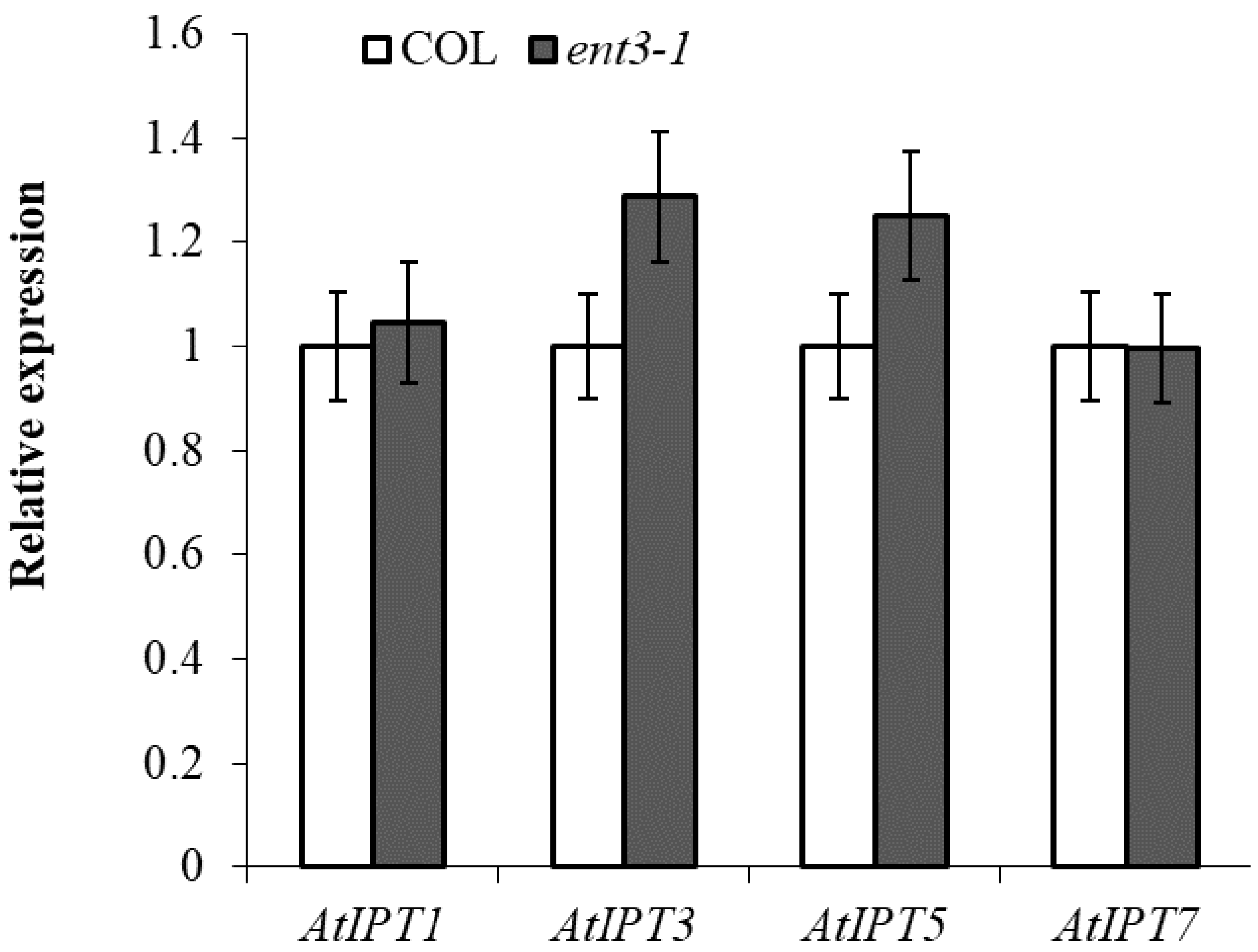 Cells 10 00350 g002 Cells 10 00350 g002