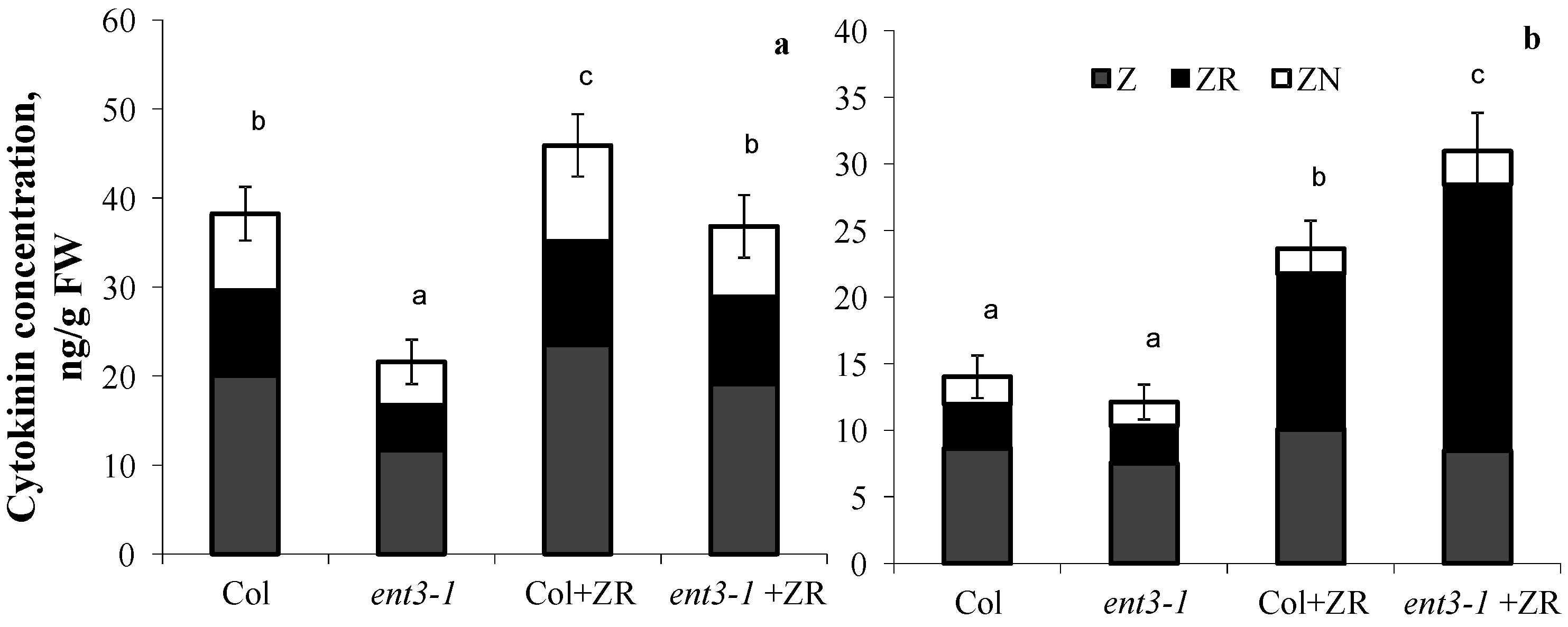 Cells 10 00350 g003 Cells 10 00350 g003