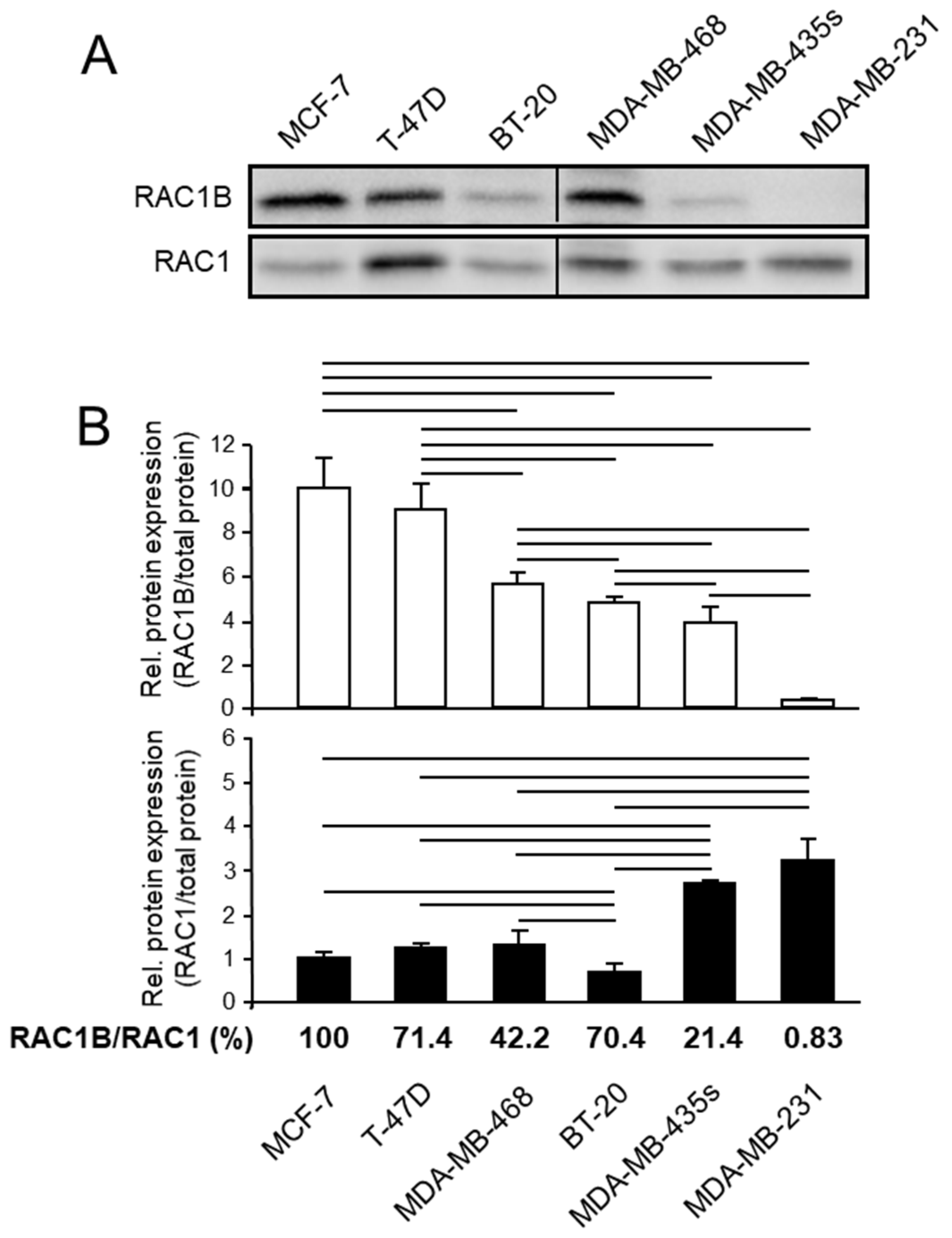 Cells 10 00351 g001 Cells 10 00351 g001