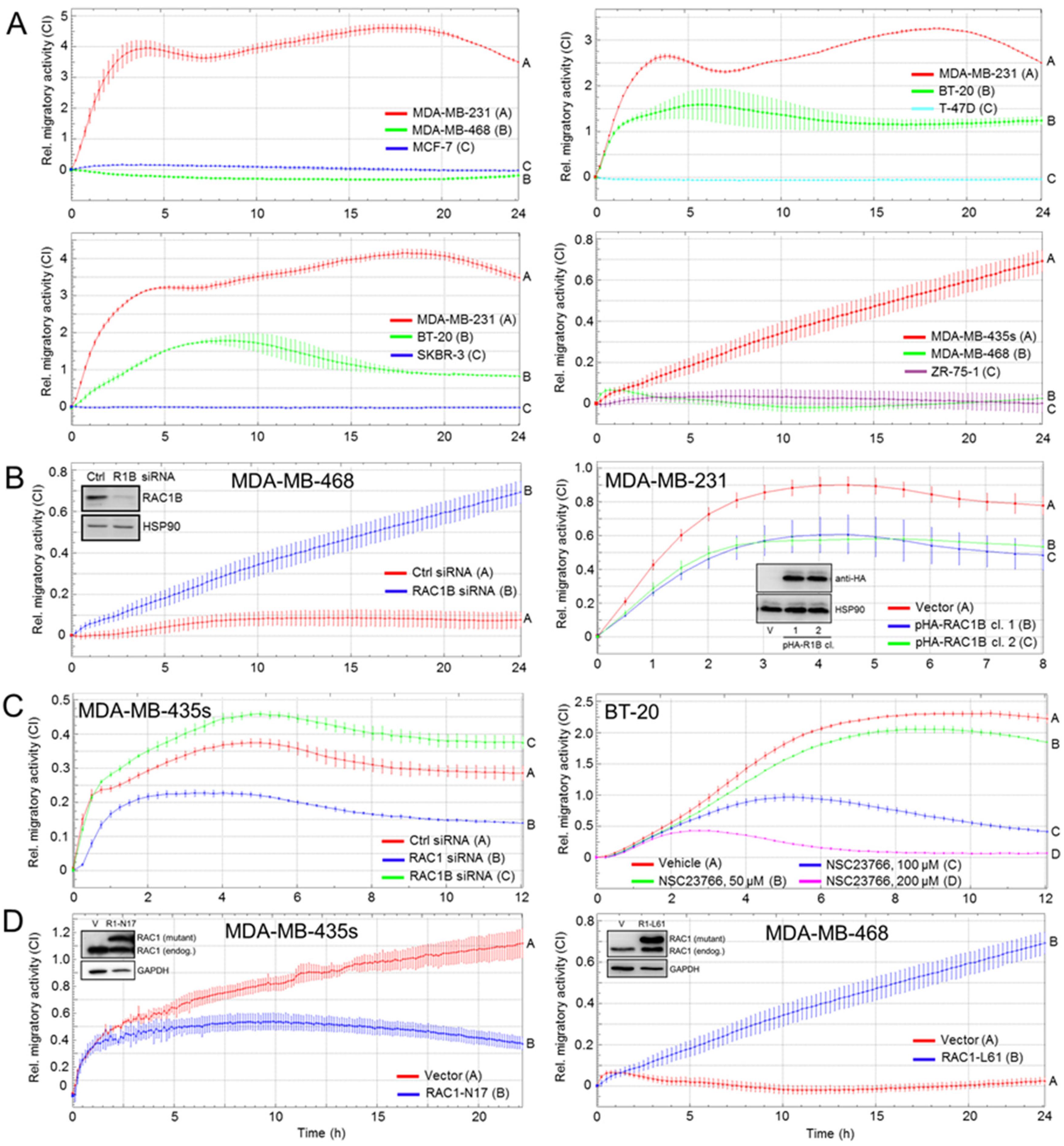 Cells 10 00351 g002 Cells 10 00351 g002