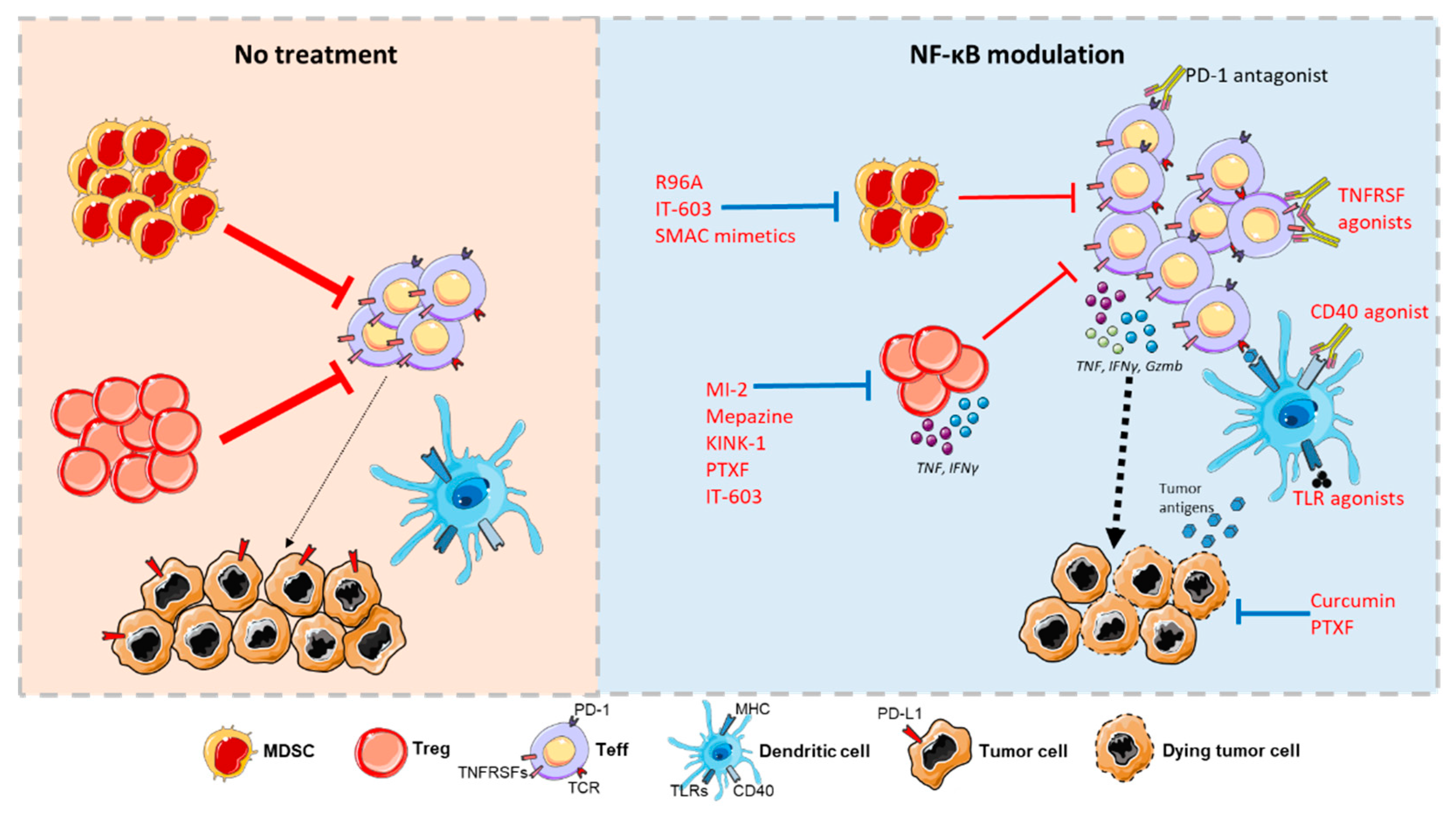 Cells 10 00355 g002 Cells 10 00355 g002