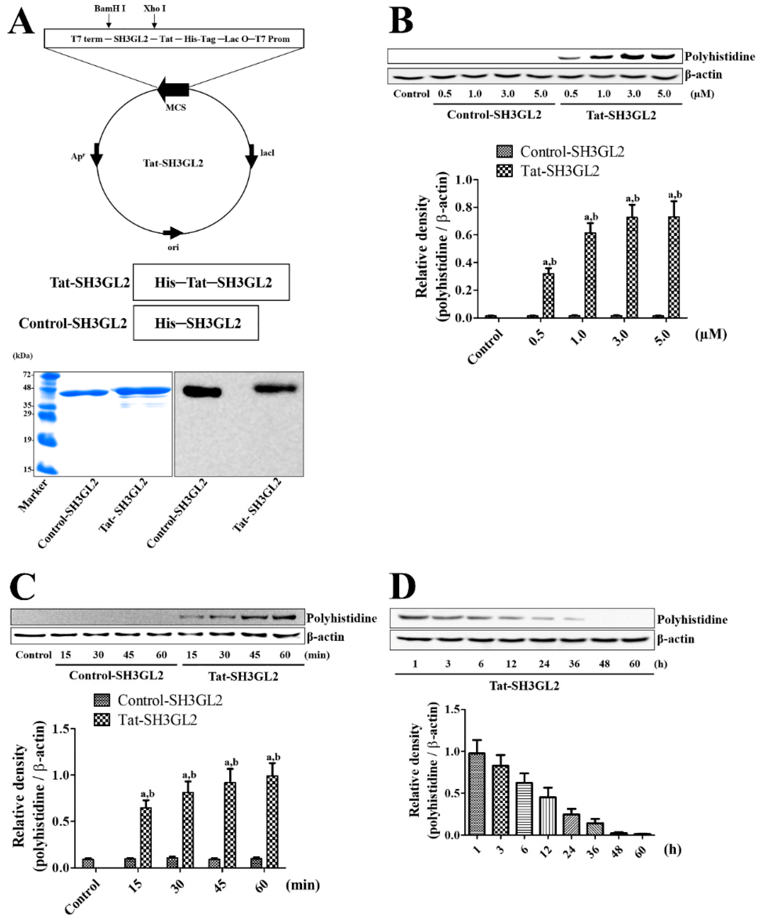 Cells 10 00357 g001 Cells 10 00357 g001