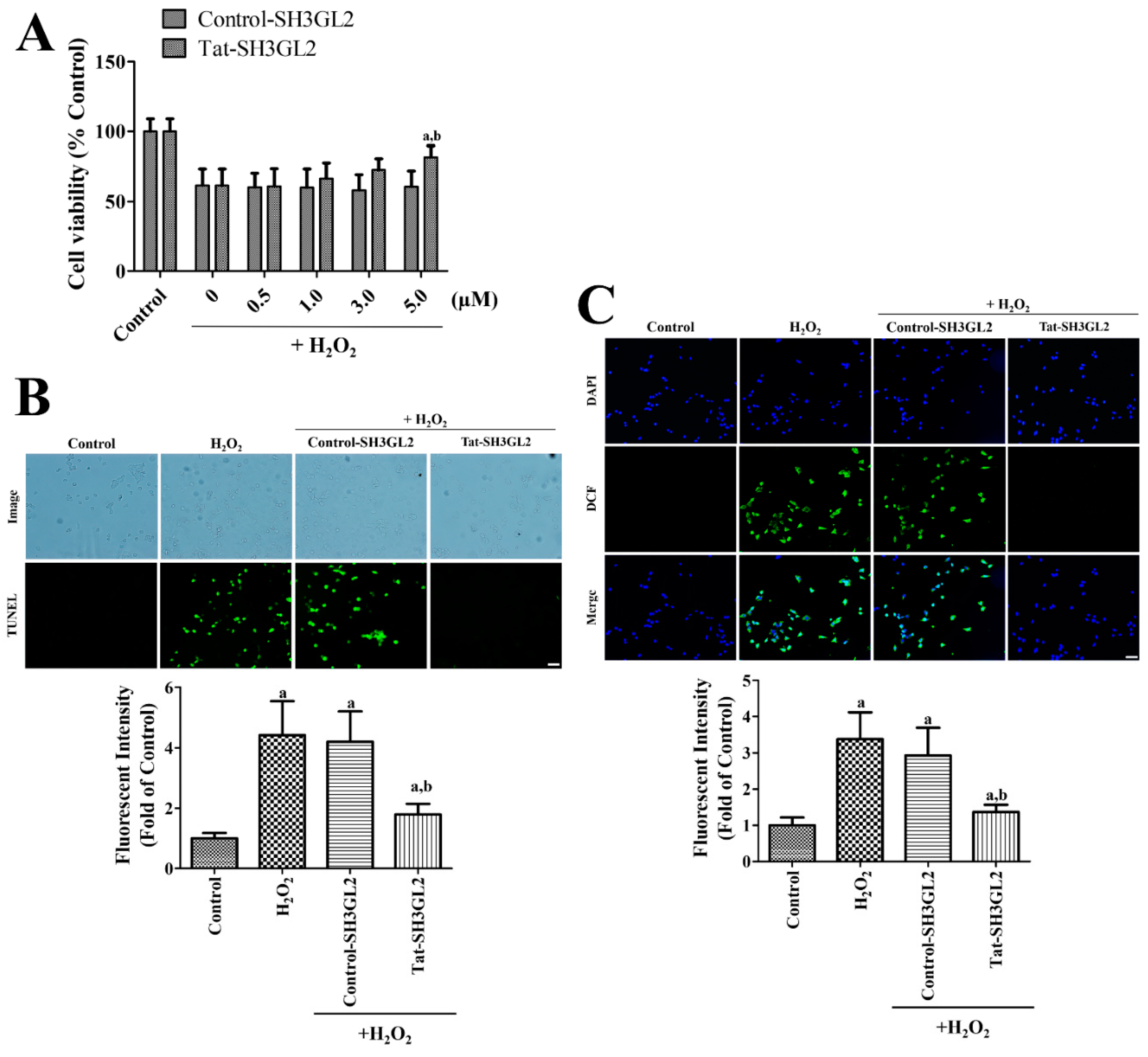 Cells 10 00357 g003 Cells 10 00357 g003