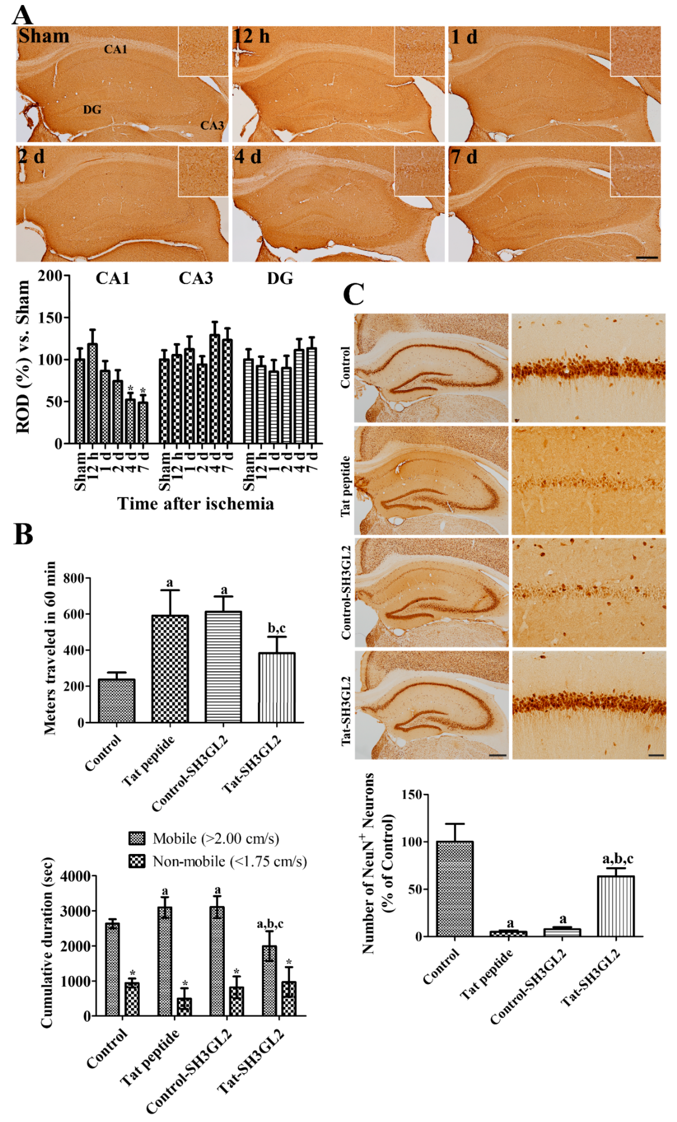Cells 10 00357 g004 Cells 10 00357 g004